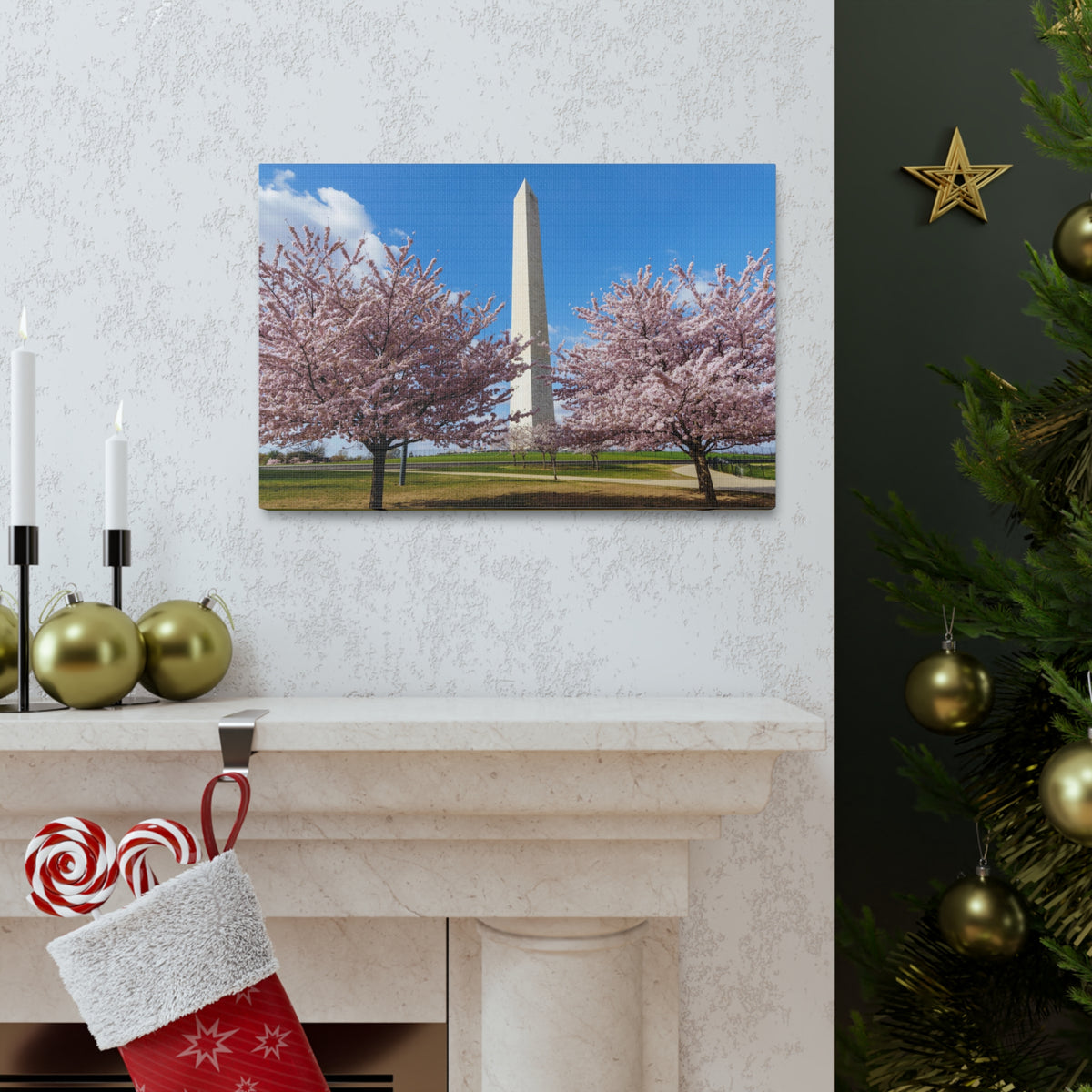 Mall Washington Blossom Festival Nature Wilderness Photography Canvas Wall Art for Home Decor Ready-to-Hang-Express Your Love Gifts