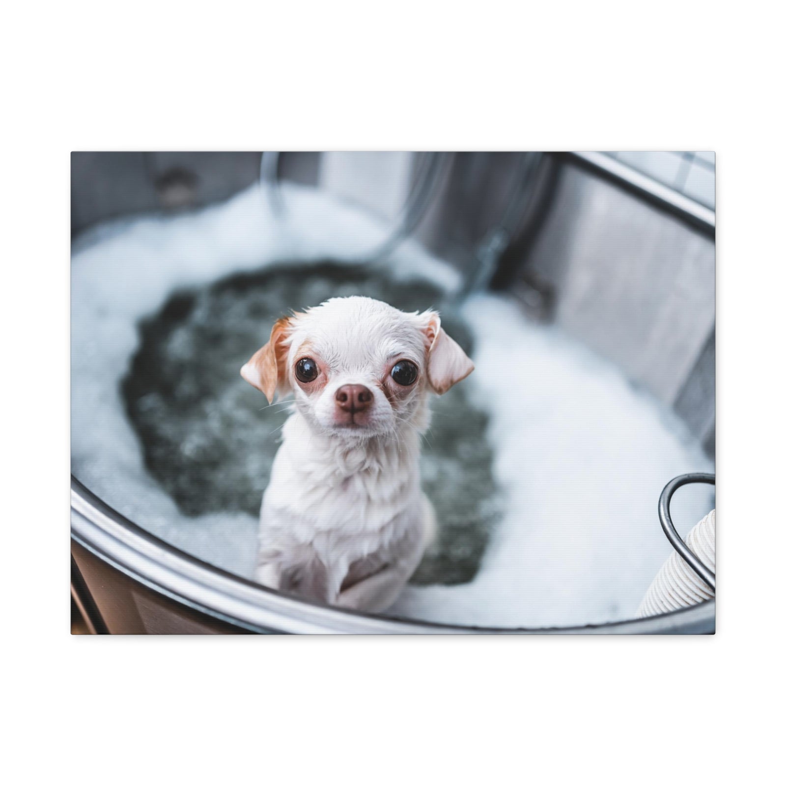 Cute Chihuahua Bathee Canvas Wall Art for Home Decor Ready-to-Hang-Express Your Love Gifts