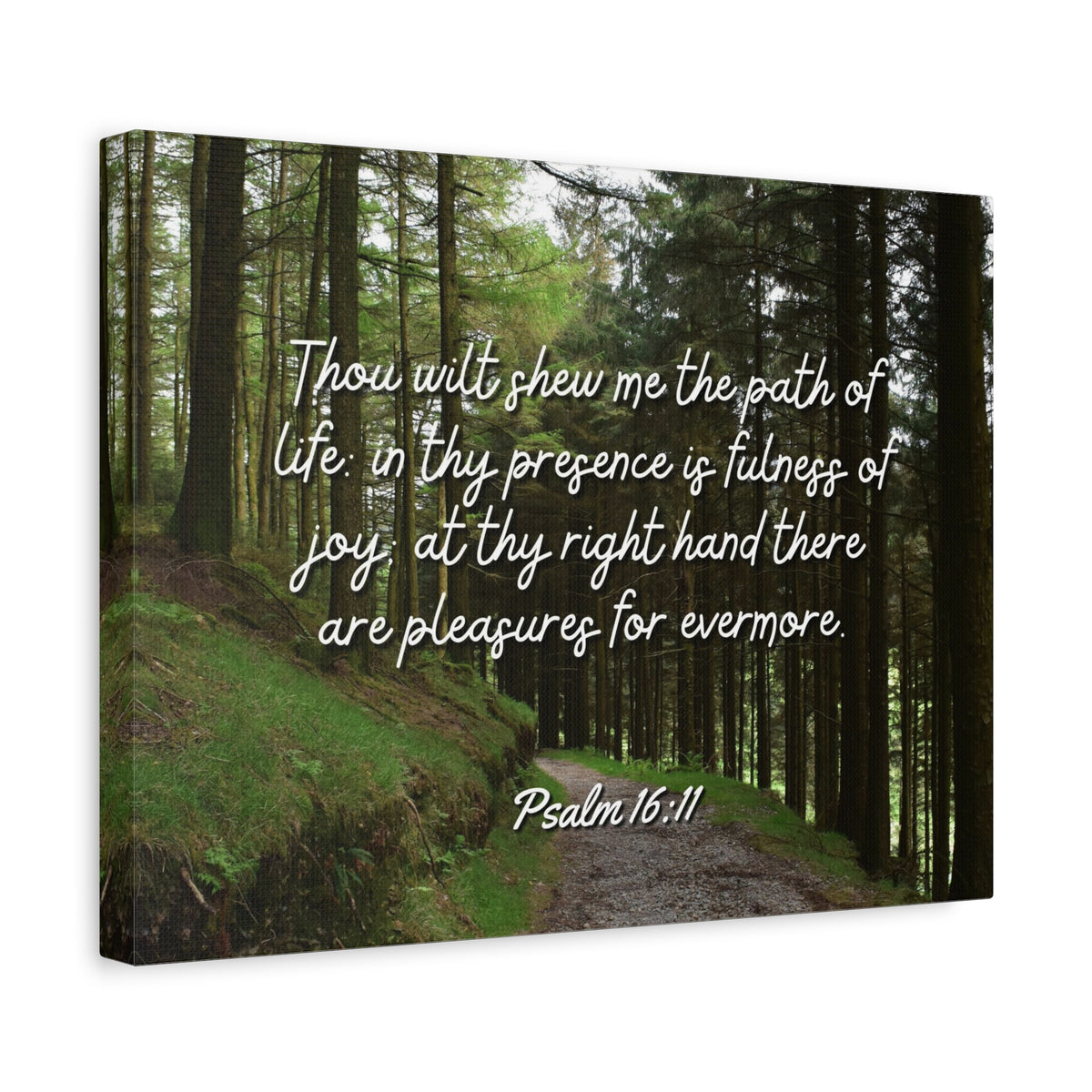 Scripture Walls The Path Of Life Psalm 16:11 Bible Verse Canvas Christian Wall Art Ready to Hang-Express Your Love Gifts