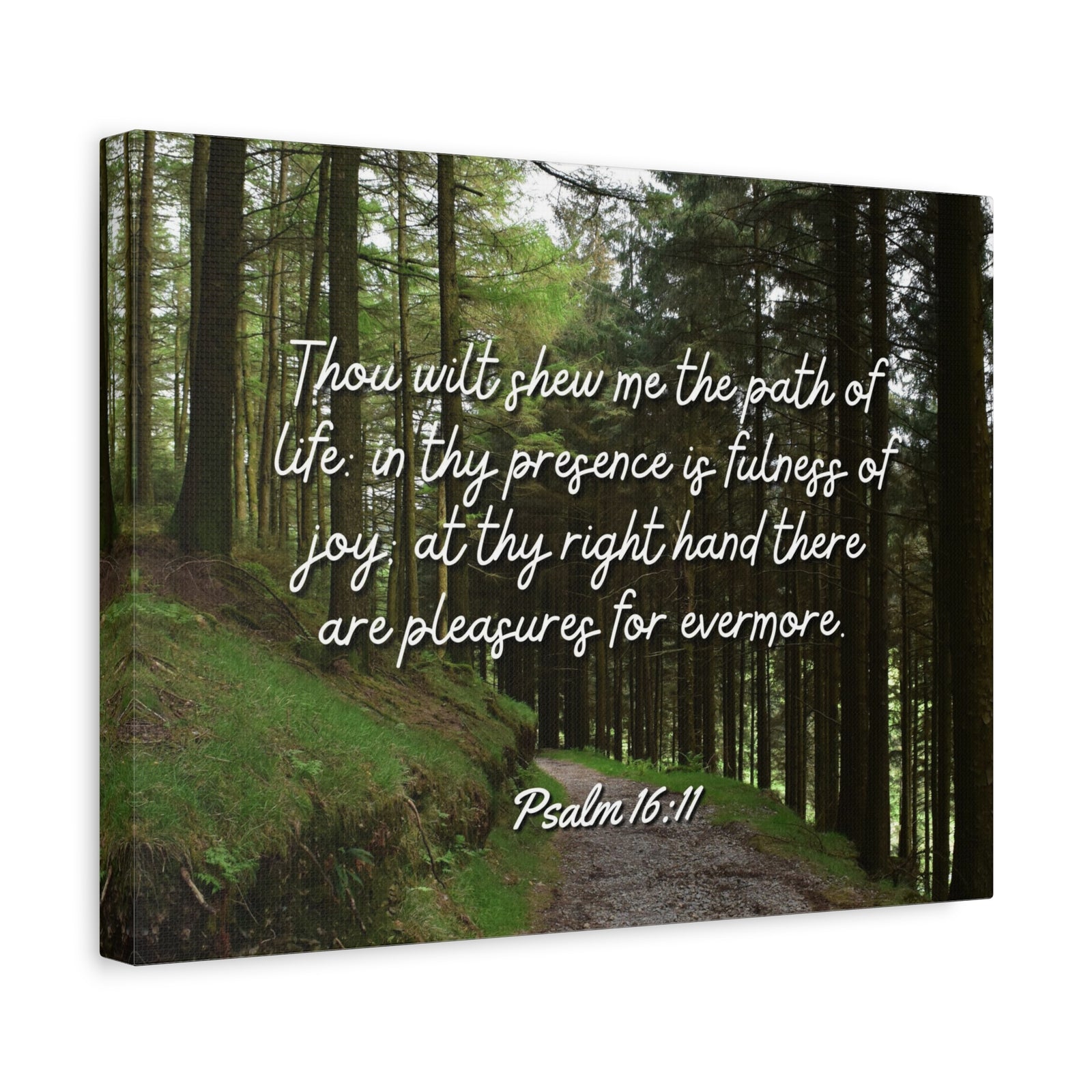 Scripture Walls The Path Of Life Psalm 16:11 Bible Verse Canvas Christian Wall Art Ready to Hang-Express Your Love Gifts