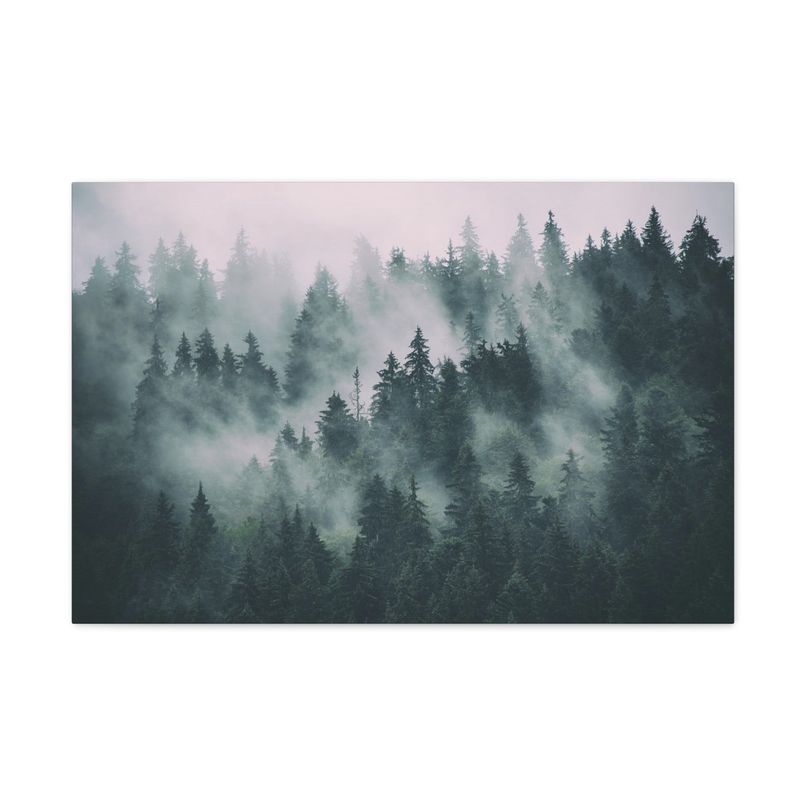 Misty Green Forest Pine Tree Nature Wilderness Photography Canvas Wall Art for Home Decor Ready-to-Hang-Express Your Love Gifts