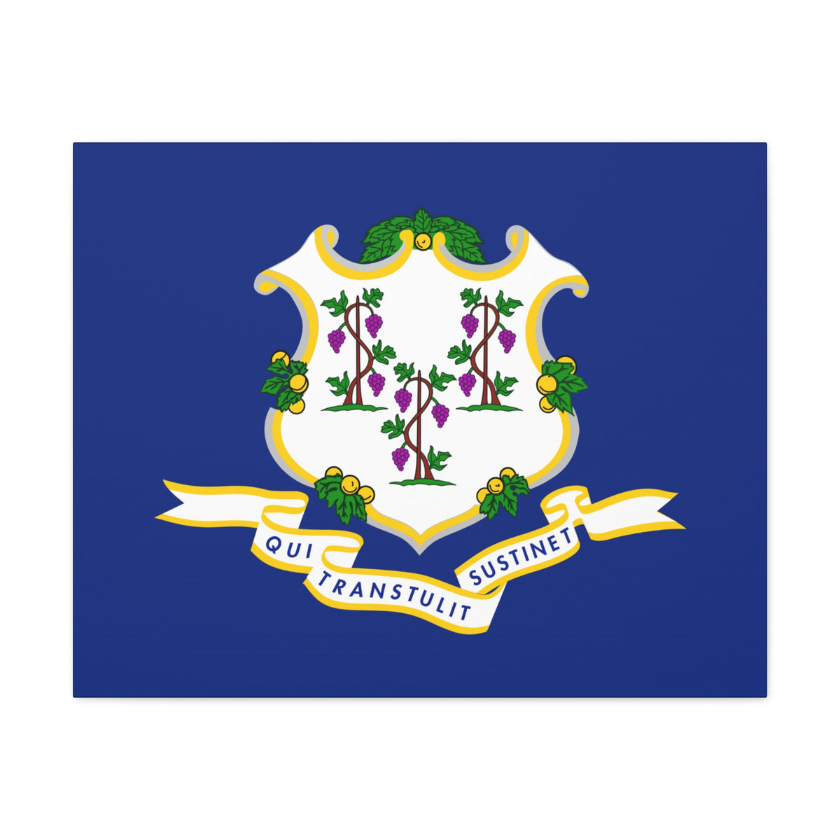 Connecticut State Flag Canvas Vibrant Wall Art Unframed Home Decor-Express Your Love Gifts