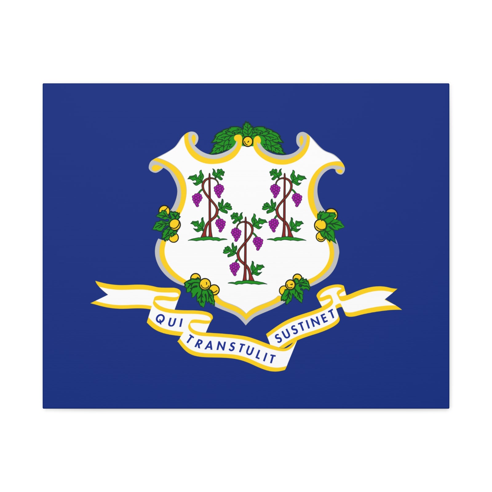 Connecticut State Flag Canvas Vibrant Wall Art Unframed Home Decor-Express Your Love Gifts