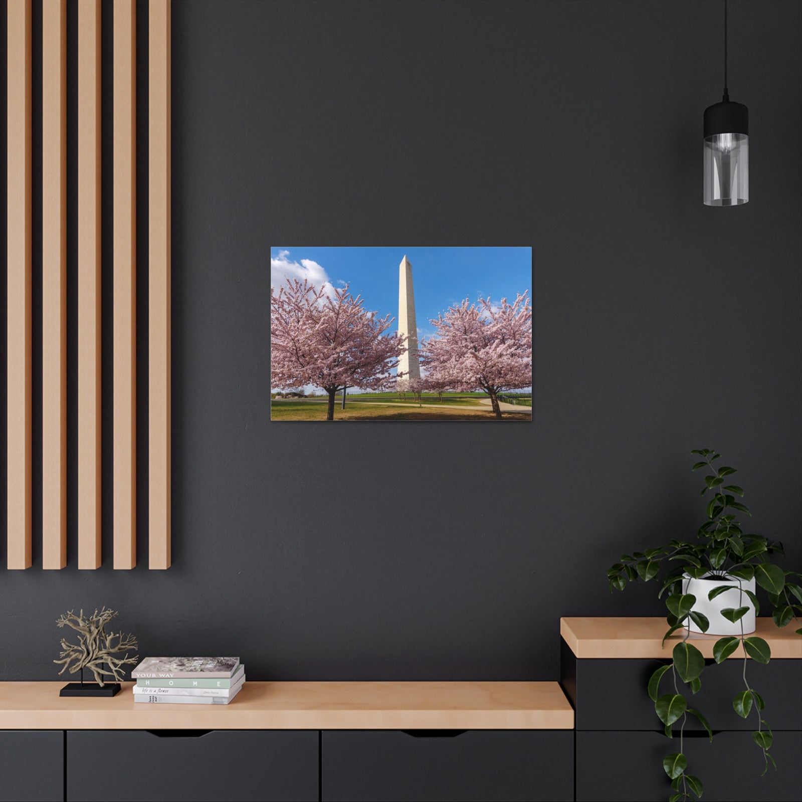 Mall Washington Blossom Festival Nature Wilderness Photography Canvas Wall Art for Home Decor Ready-to-Hang-Express Your Love Gifts