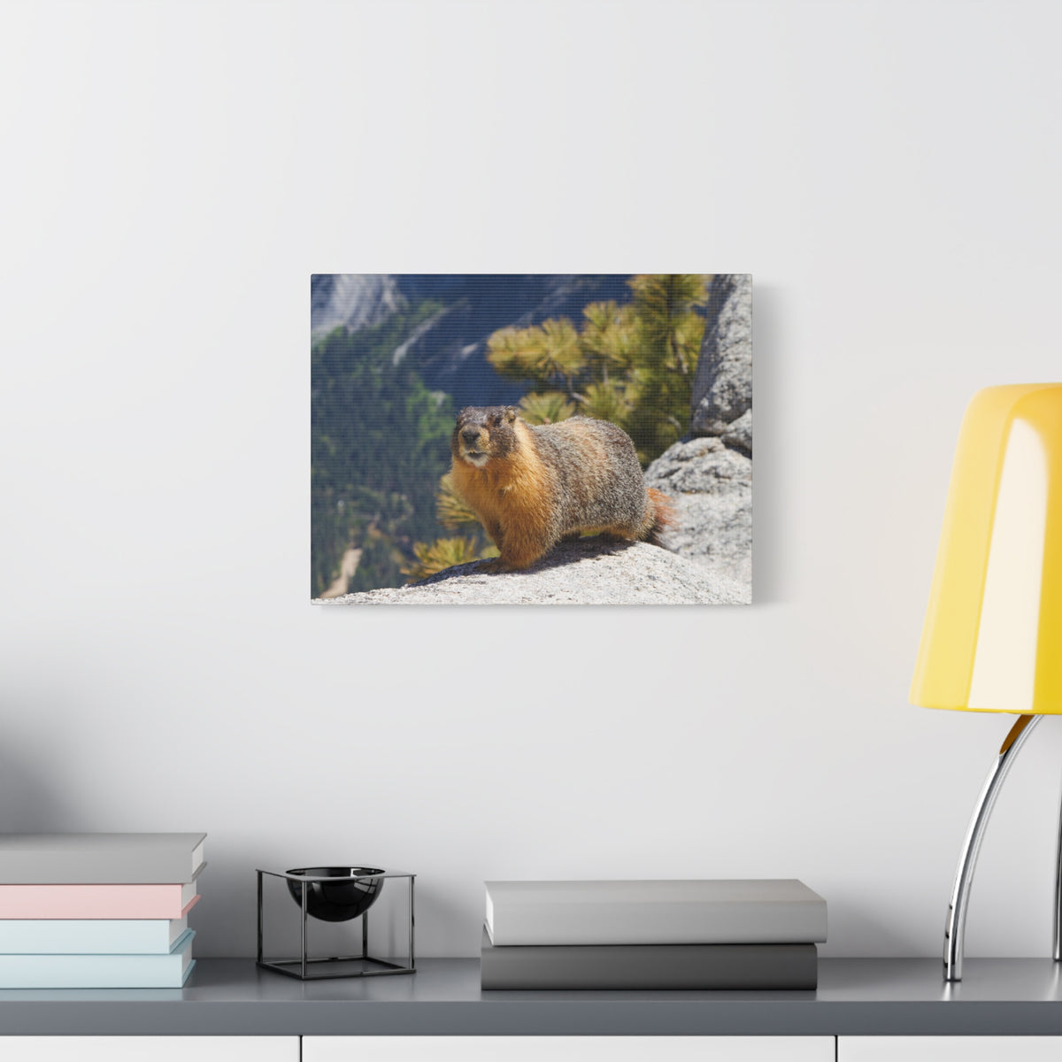 Majestic Yellow Bellied Marmot Art Majestic Yellow Bellied Marmot Print Animal Wall Art Wildlife Canvas Prints Wall Art Ready to Hang-Express Your Love Gifts
