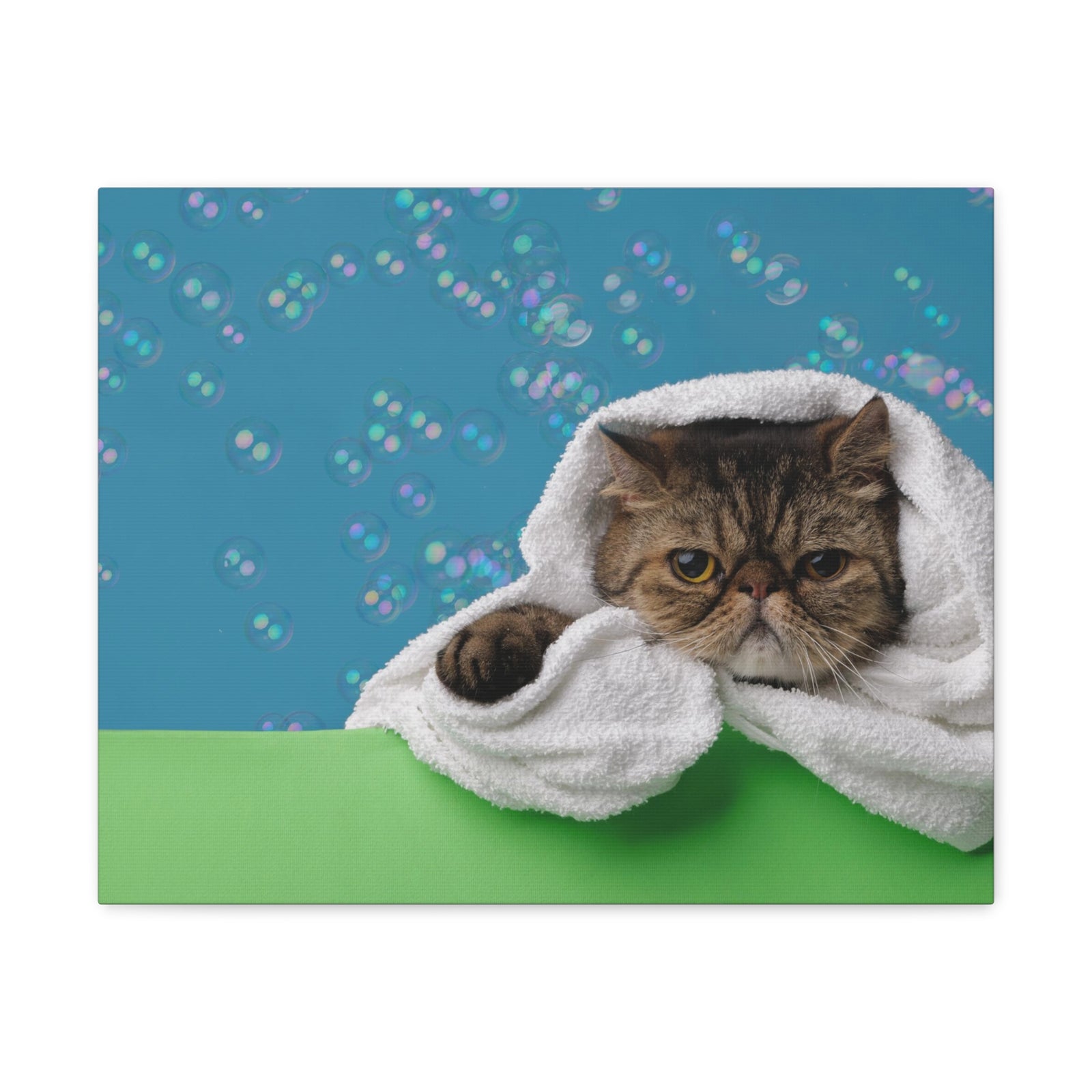 Cute Exotic Shorthair Bathee Canvas Wall Art for Home Decor Ready-to-Hang-Express Your Love Gifts
