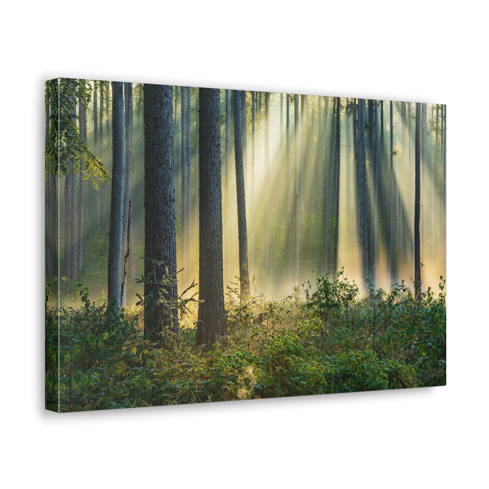 Sunrise Green Forest Nature Wilderness Photography Canvas Wall Art for Home Decor Ready-to-Hang-Express Your Love Gifts