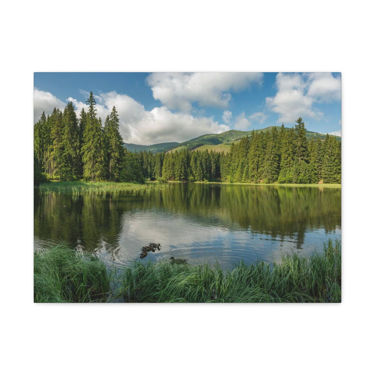 Lake Reflection Green Forest Nature Wilderness Photography Canvas Wall Art for Home Decor Ready-to-Hang-Express Your Love Gifts