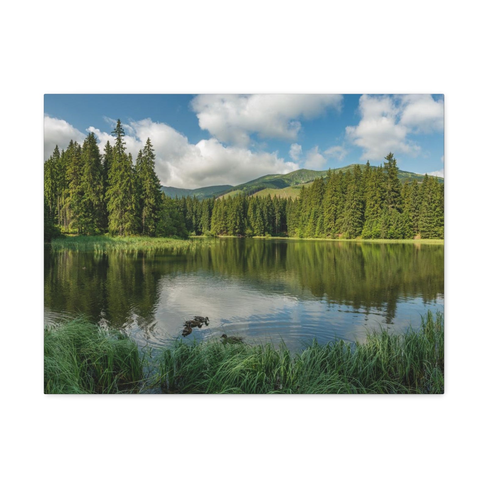 Lake Reflection Green Forest Nature Wilderness Photography Canvas Wall Art for Home Decor Ready-to-Hang-Express Your Love Gifts