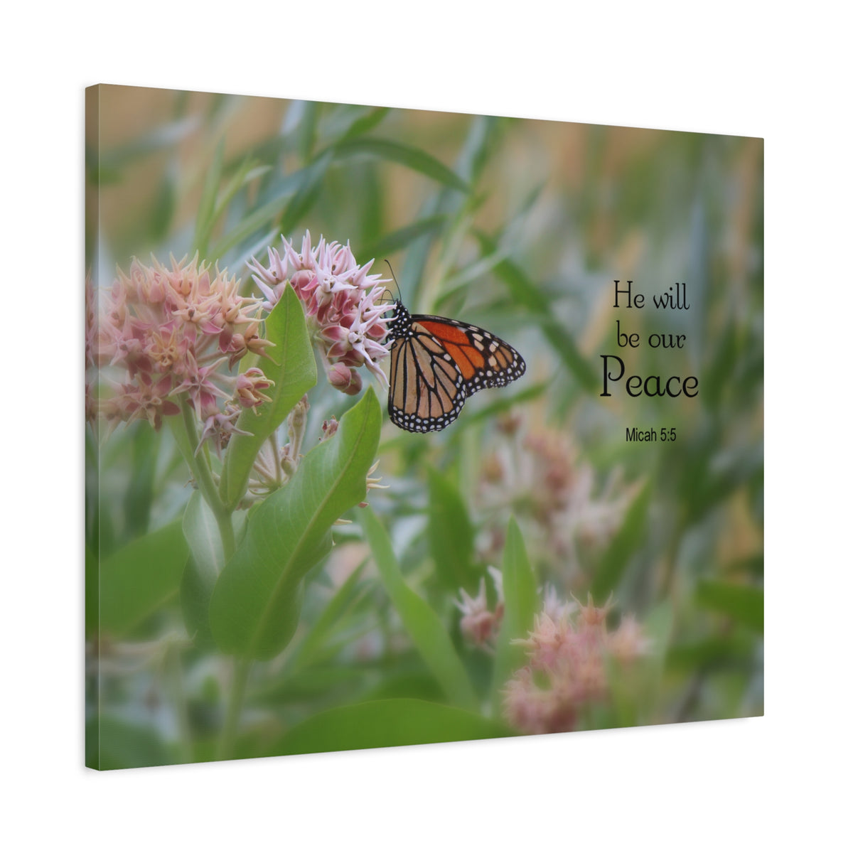 Scripture Walls Our Peace Micah 5:5 Bible Verse Canvas Christian Wall Art Ready to Hang-Express Your Love Gifts