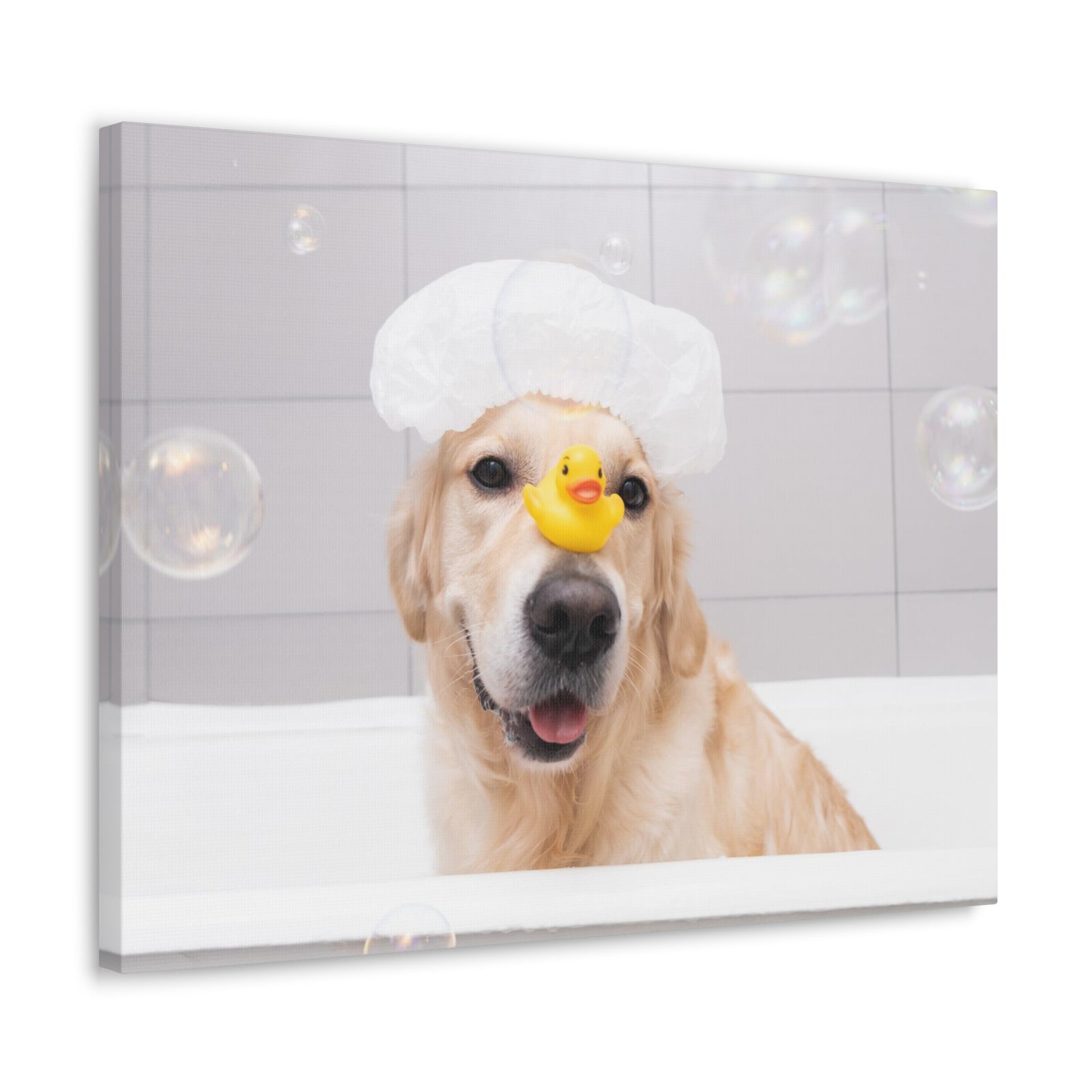 Cute Golden Retriever Bathee Canvas Wall Art for Home Decor Ready-to-Hang-Express Your Love Gifts