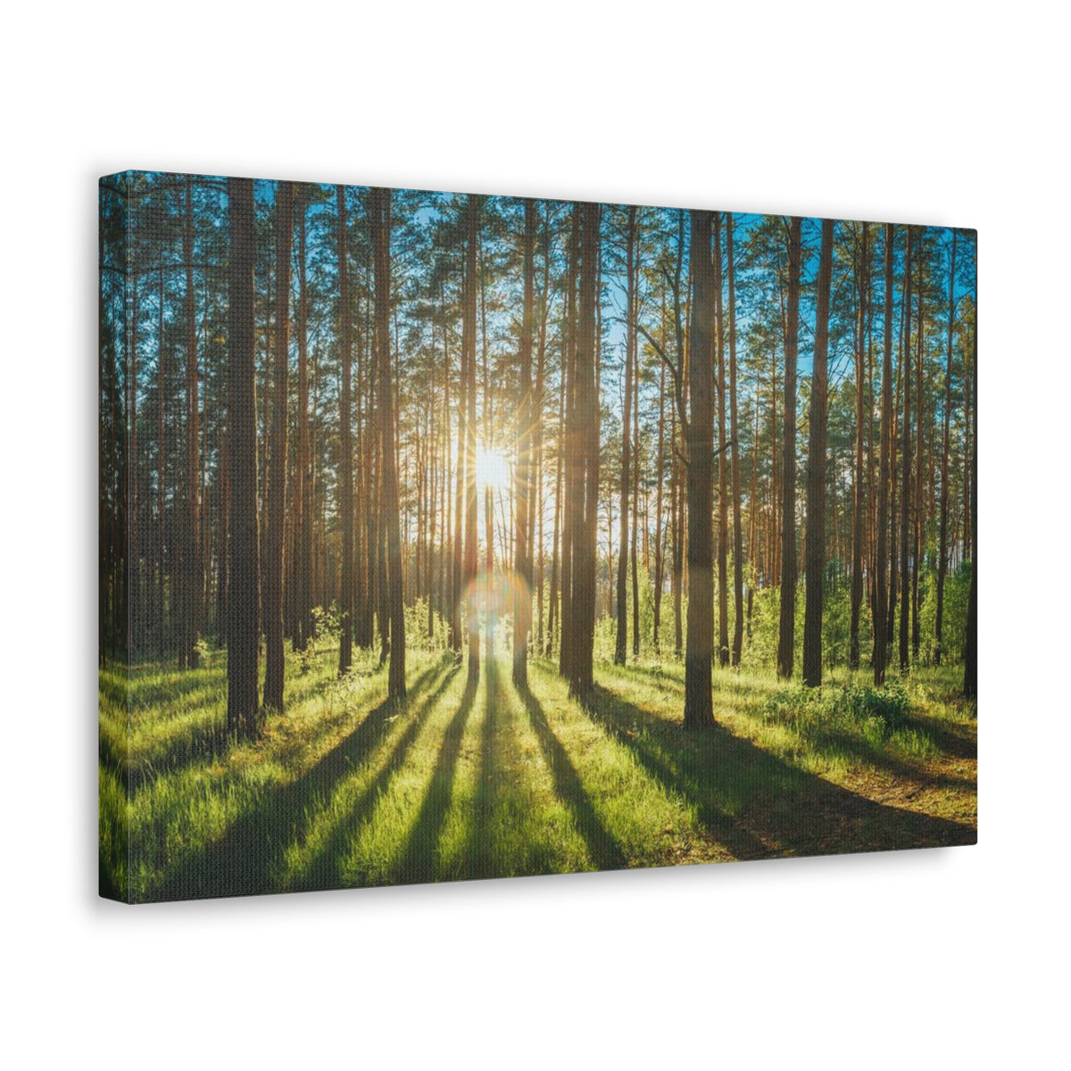 Forest Green Sunrise Nature Wilderness Photography Canvas Wall Art for Home Decor Ready-to-Hang-Express Your Love Gifts