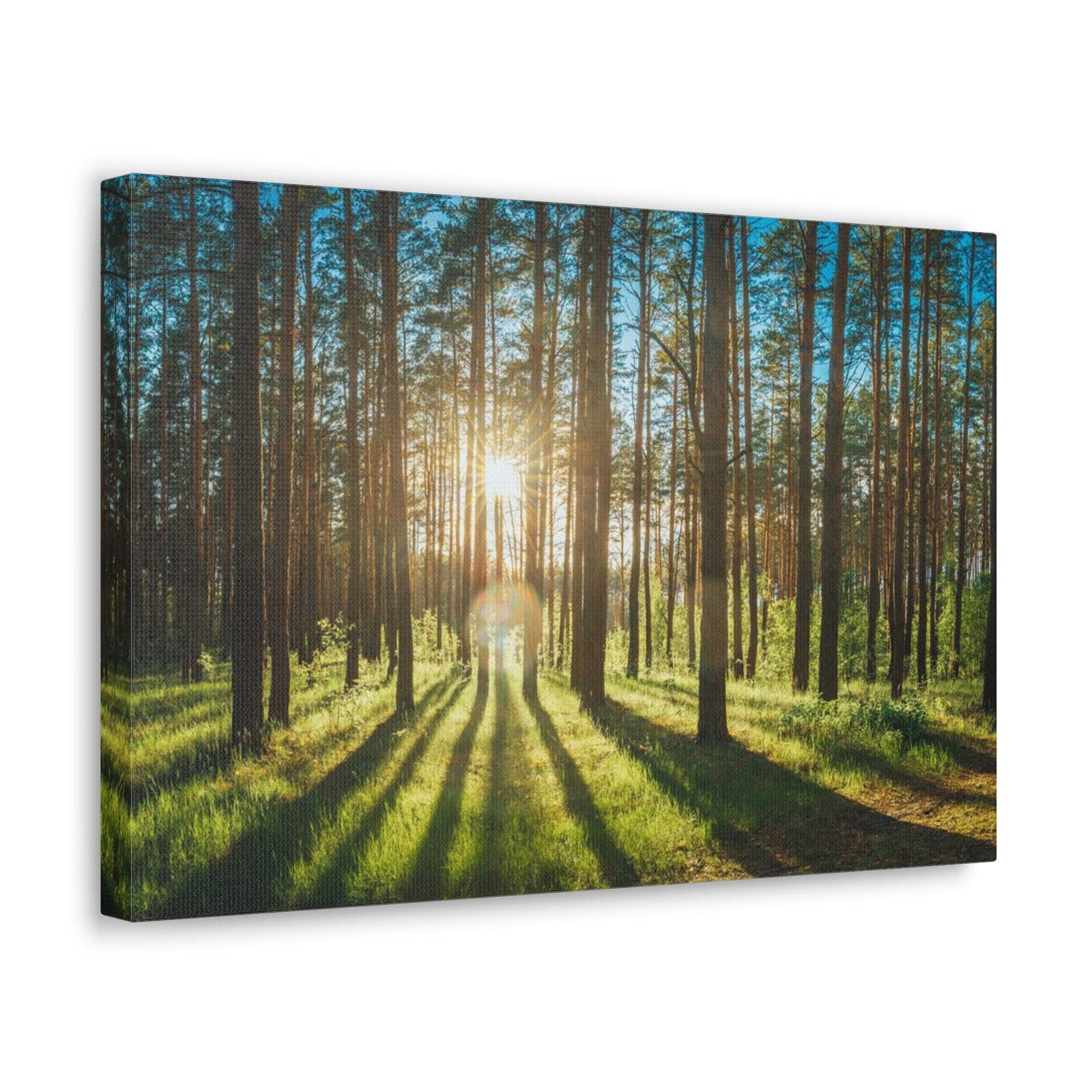 Forest Green Sunrise Nature Wilderness Photography Canvas Wall Art for Home Decor Ready-to-Hang-Express Your Love Gifts