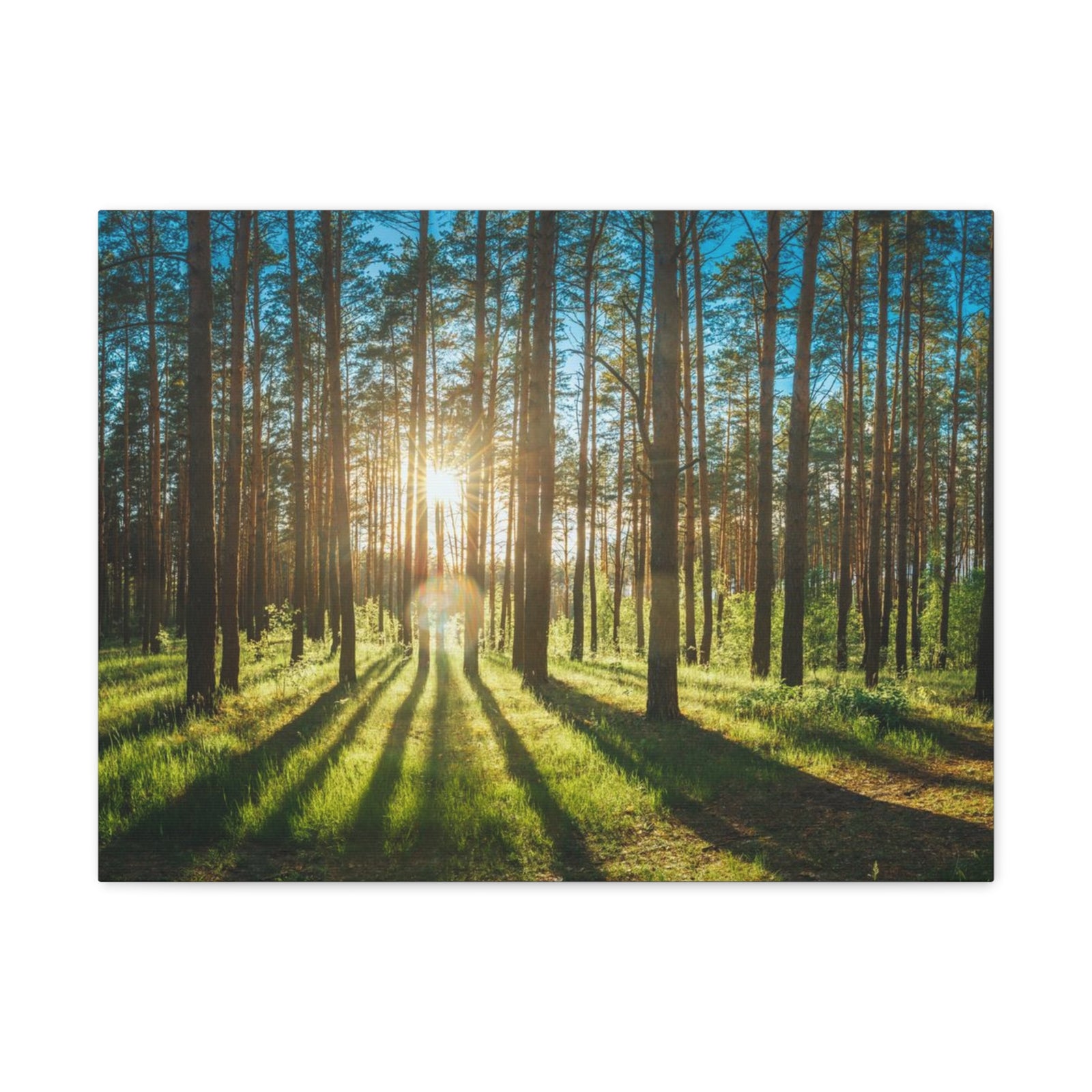 Forest Green Sunrise Nature Wilderness Photography Canvas Wall Art for Home Decor Ready-to-Hang-Express Your Love Gifts