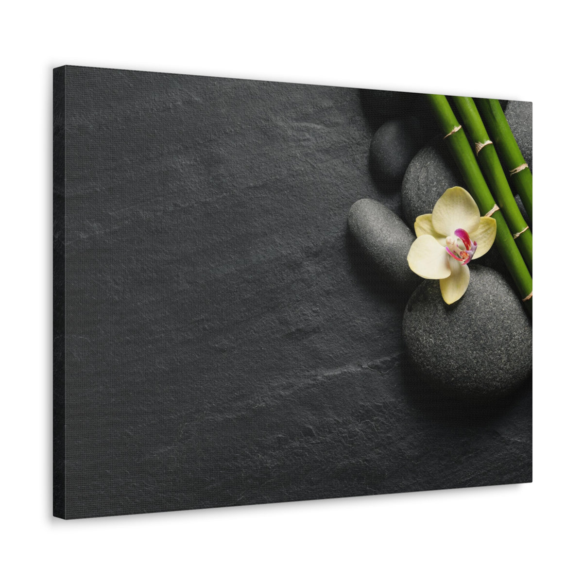 Beautiful Orchid Flower Forest Floral Nature Photography Canvas Wall Art for Home Decor Ready-to-Hang-Express Your Love Gifts