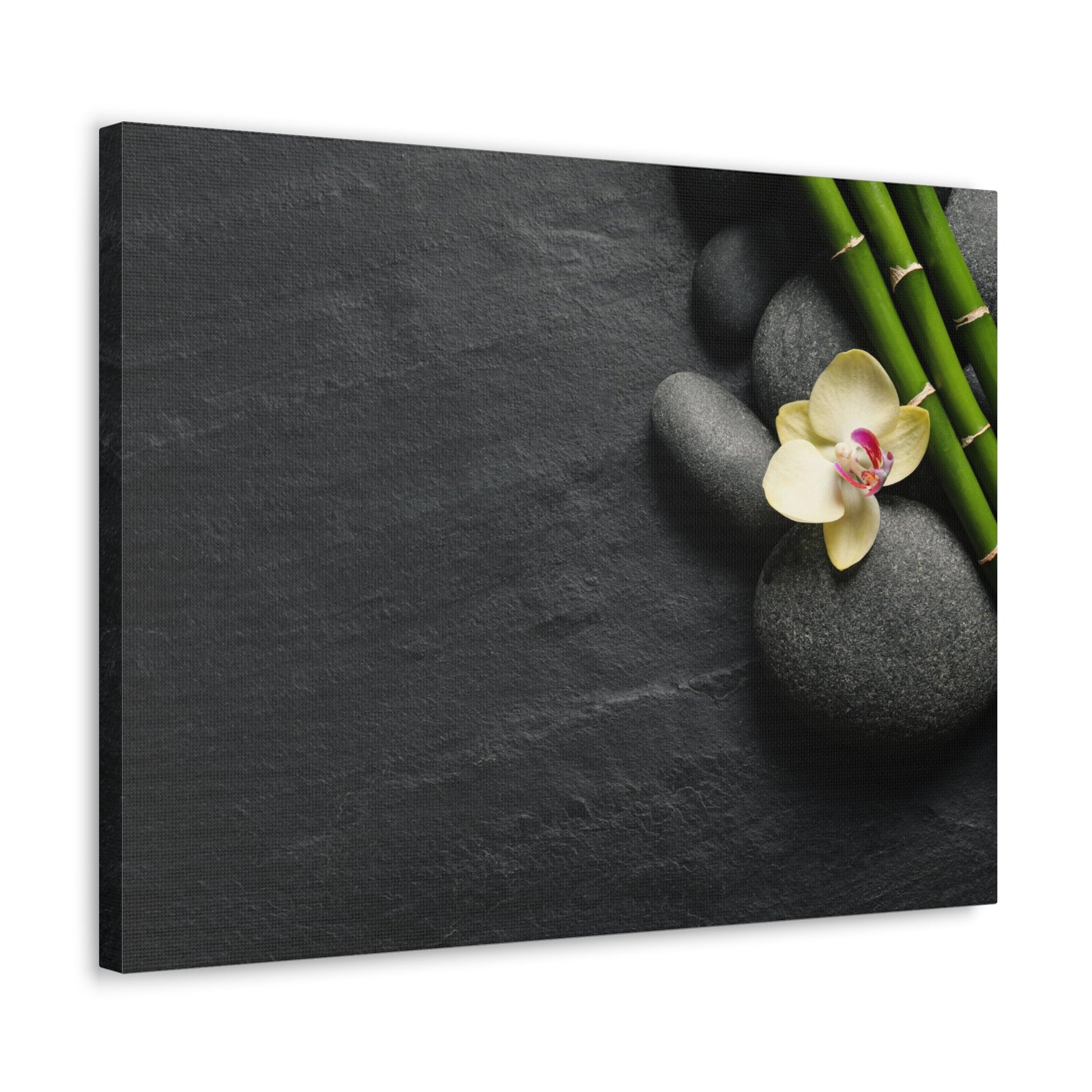 Beautiful Orchid Flower Forest Floral Nature Photography Canvas Wall Art for Home Decor Ready-to-Hang-Express Your Love Gifts