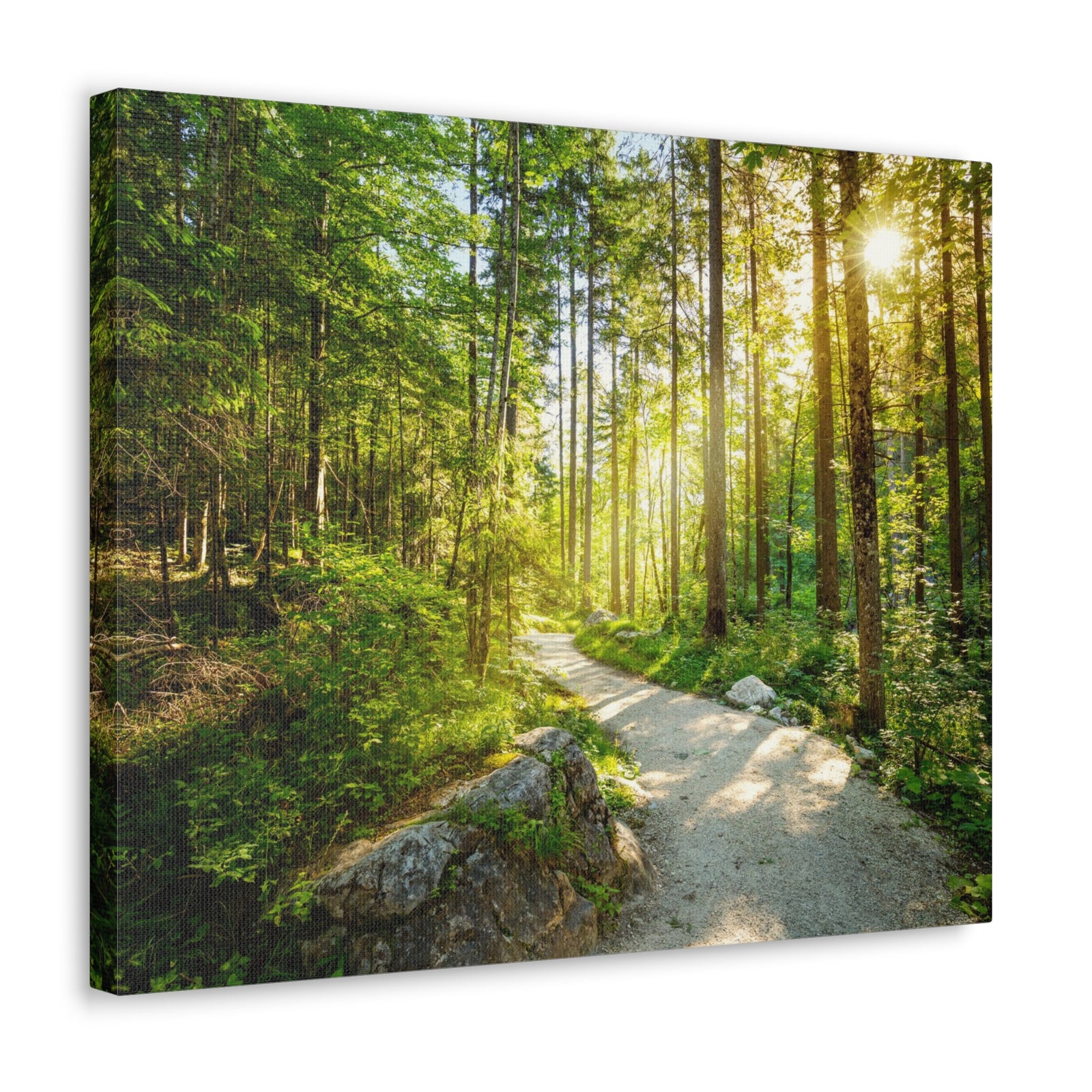Sunlight Passing Through Green Forest Path Nature Wilderness Photography Canvas Wall Art for Home Decor Ready-to-Hang-Express Your Love Gifts