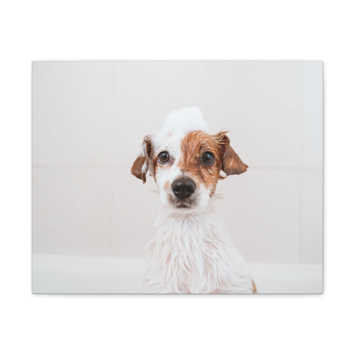 Cute Jack Russell Terrier Bathee Canvas Wall Art for Home Decor Ready-to-Hang-Express Your Love Gifts
