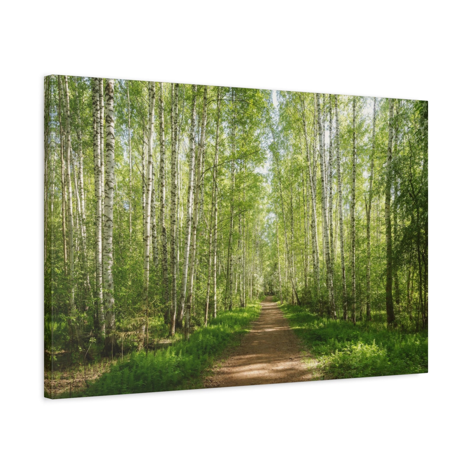 Forest Path Green Tree Nature Wilderness Photography Canvas Wall Art for Home Decor Ready-to-Hang-Express Your Love Gifts