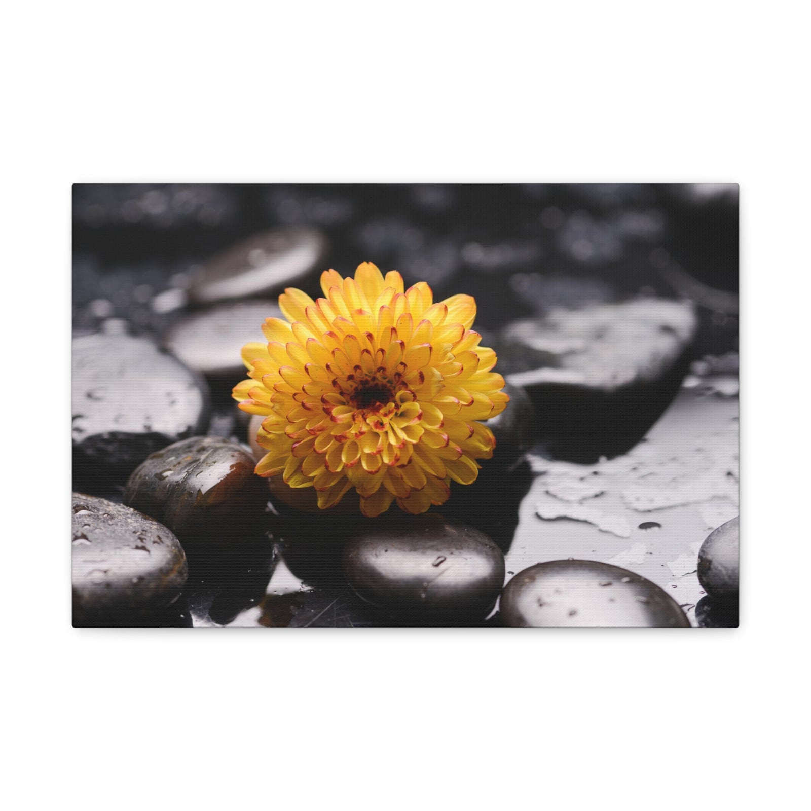 Macro of Yellow Flower Forest Floral Nature Photography Canvas Wall Art for Home Decor Ready-to-Hang-Express Your Love Gifts