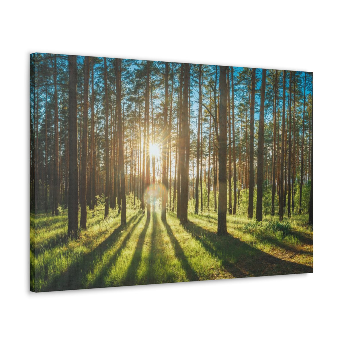 Forest Green Sunrise Nature Wilderness Photography Canvas Wall Art for Home Decor Ready-to-Hang-Express Your Love Gifts