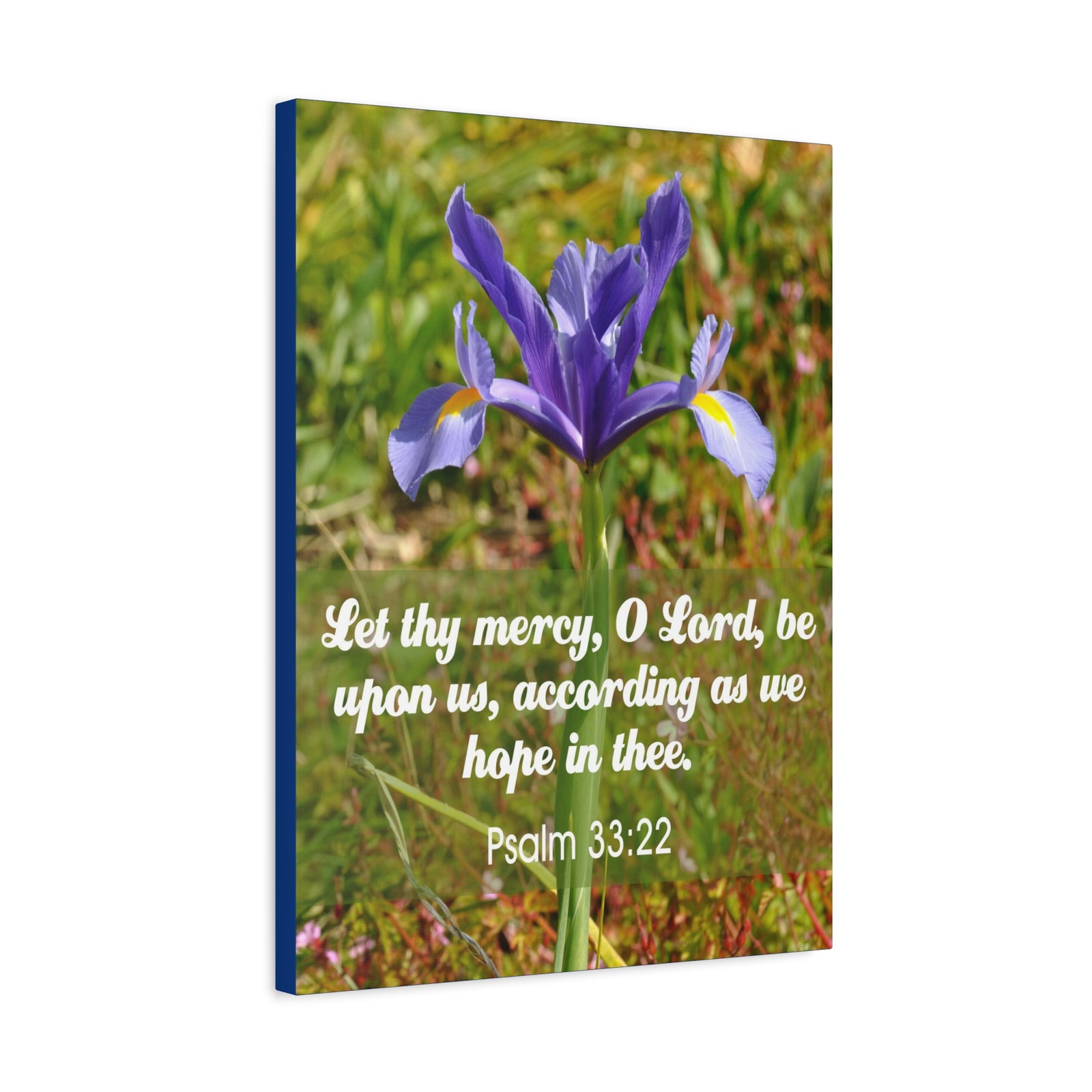 Scripture Walls Hope In Thee Psalm 33:22 Bible Verse Canvas Christian Wall Art Ready to Hang-Express Your Love Gifts