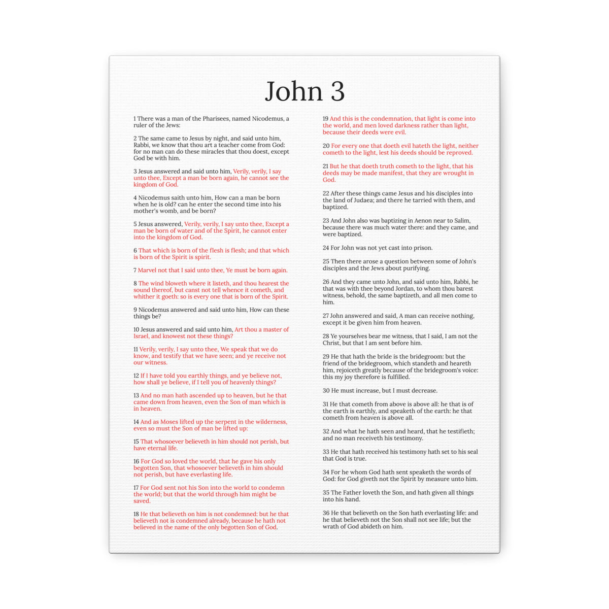 Scripture Walls John 3 Jesus and Nicodemus White Christian Wall Art Print Ready to Hang Unframed-Express Your Love Gifts