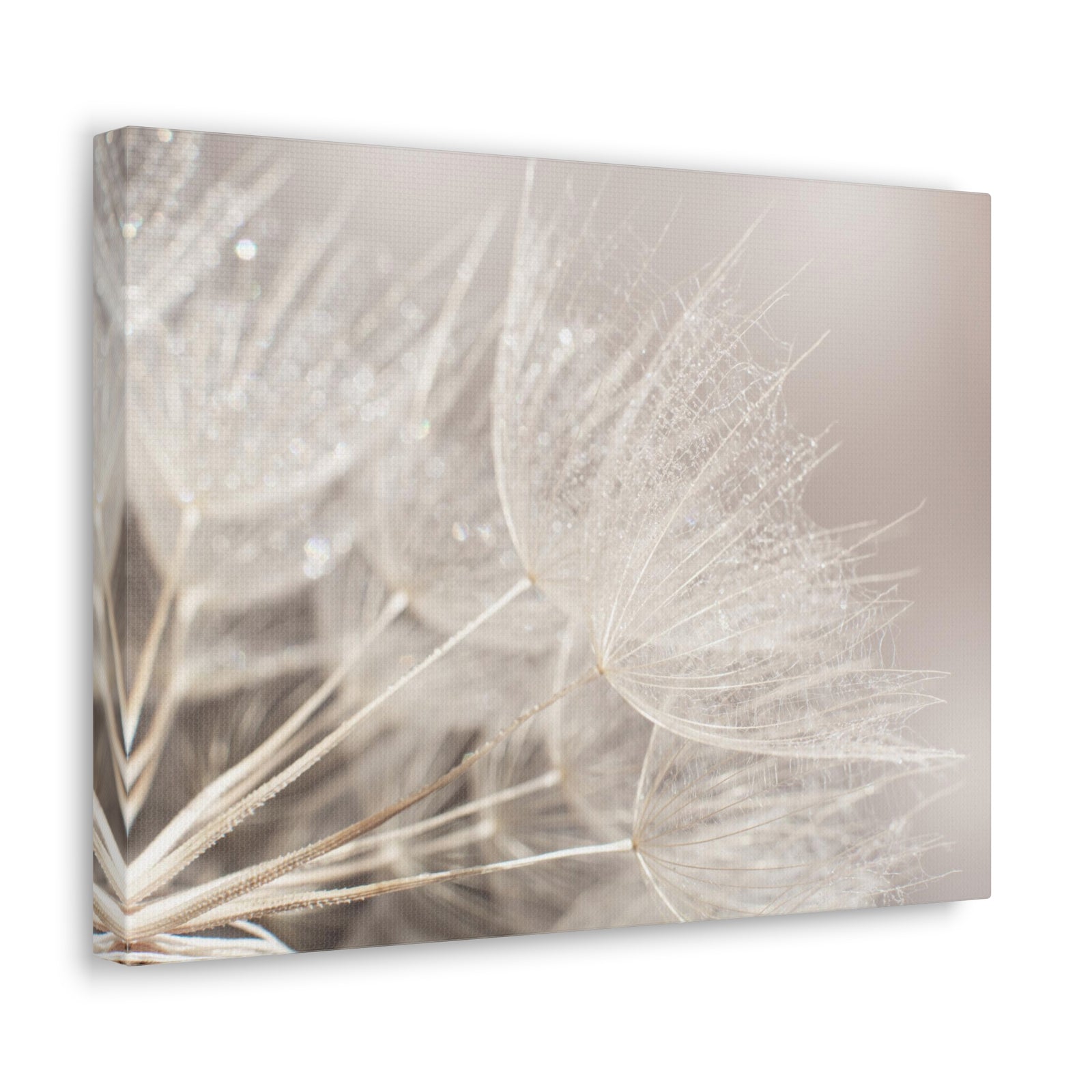 Soft Focus Dandelion At Sunset Seed Macro Closeup Canvas Wall Art for Home Decor Ready-to-Hang-Express Your Love Gifts