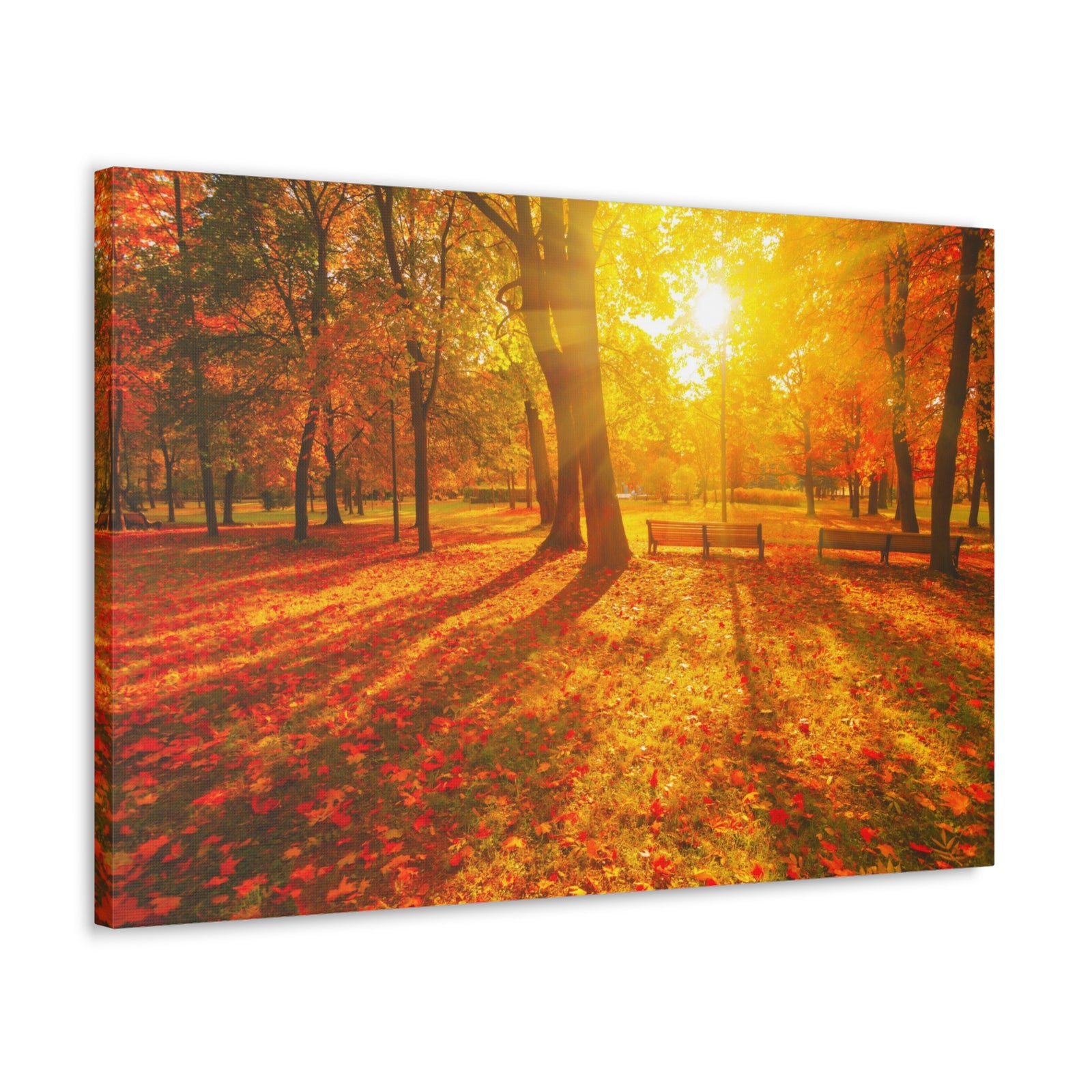 Sunrise Autumn Park Nature Wilderness Photography Canvas Wall Art for Home Decor Ready-to-Hang-Express Your Love Gifts