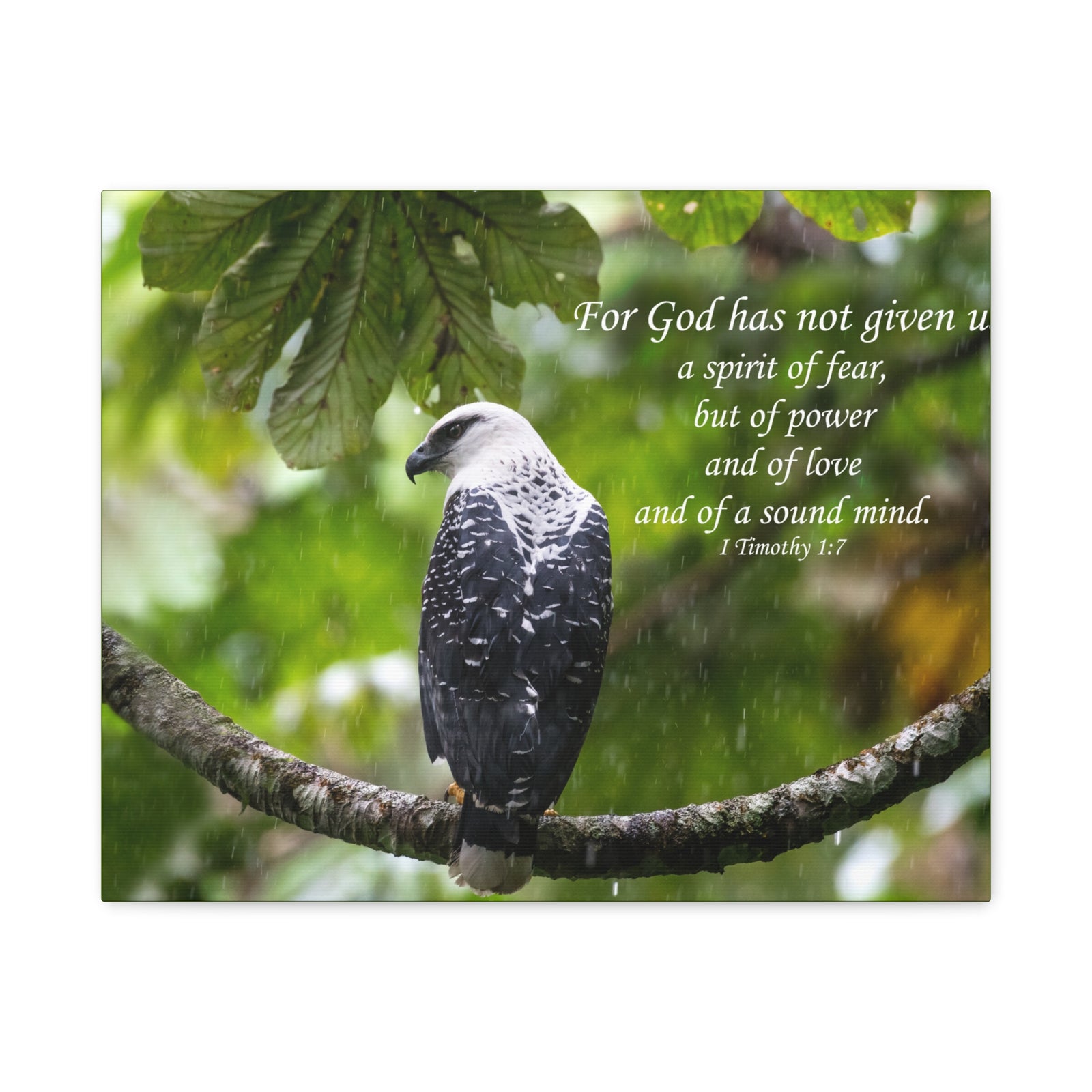 Scripture Canvas A Sound Mind 1 Timothy 1:7 Christian Wall Art Bible Verse Print Ready to Hang-Express Your Love Gifts
