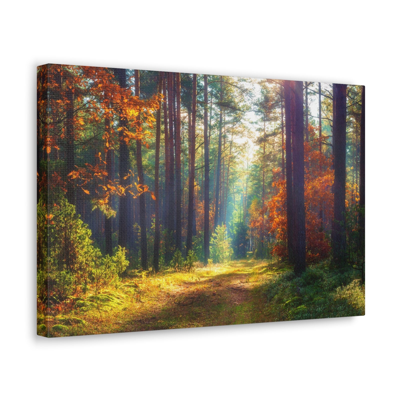 Autumn Forest Sunlight Shine Orange Tree Nature Wilderness Photography Canvas Wall Art for Home Decor Ready-to-Hang-Express Your Love Gifts