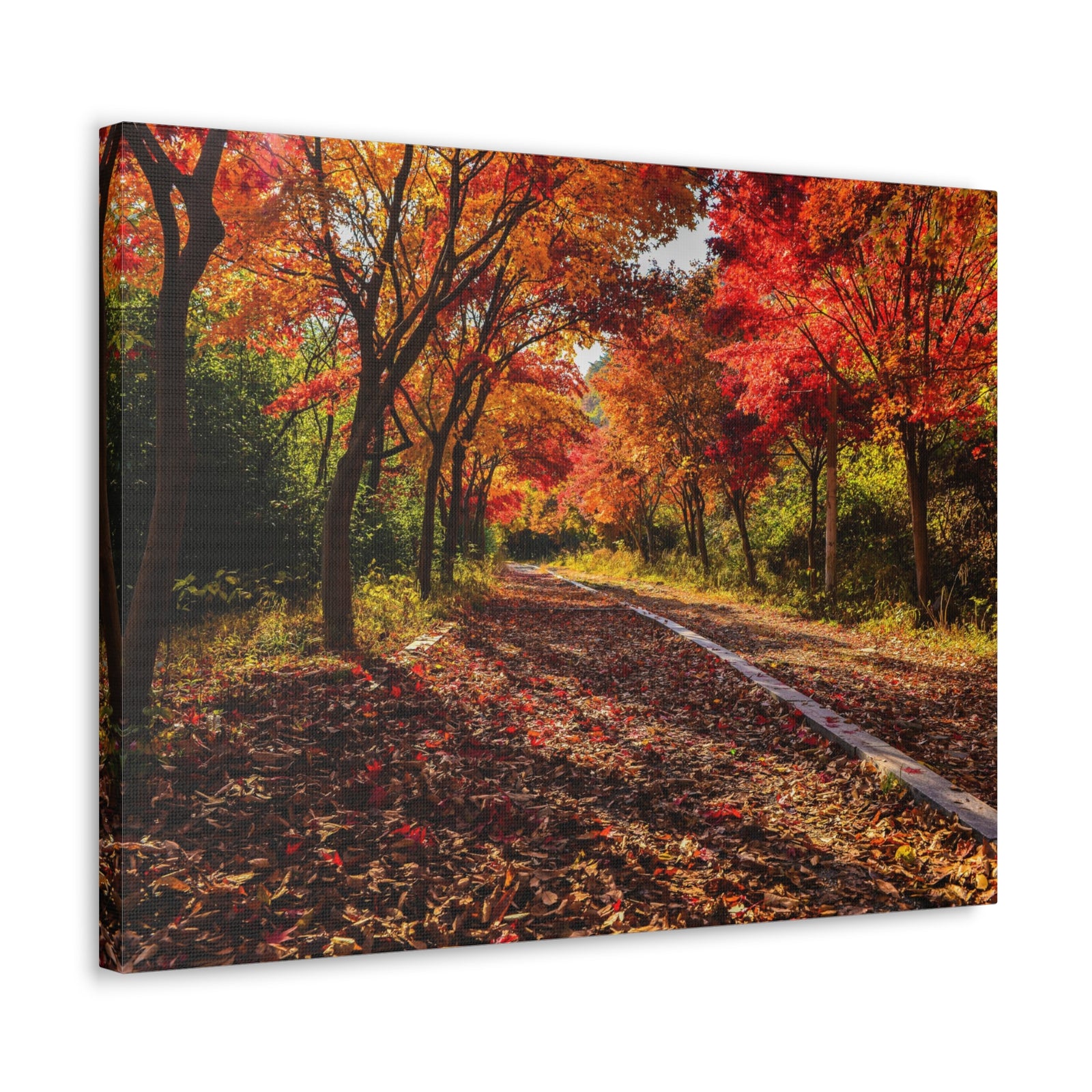Orange Tree Path Autumn Park Nature Wilderness Photography Canvas Wall Art for Home Decor Ready-to-Hang-Express Your Love Gifts
