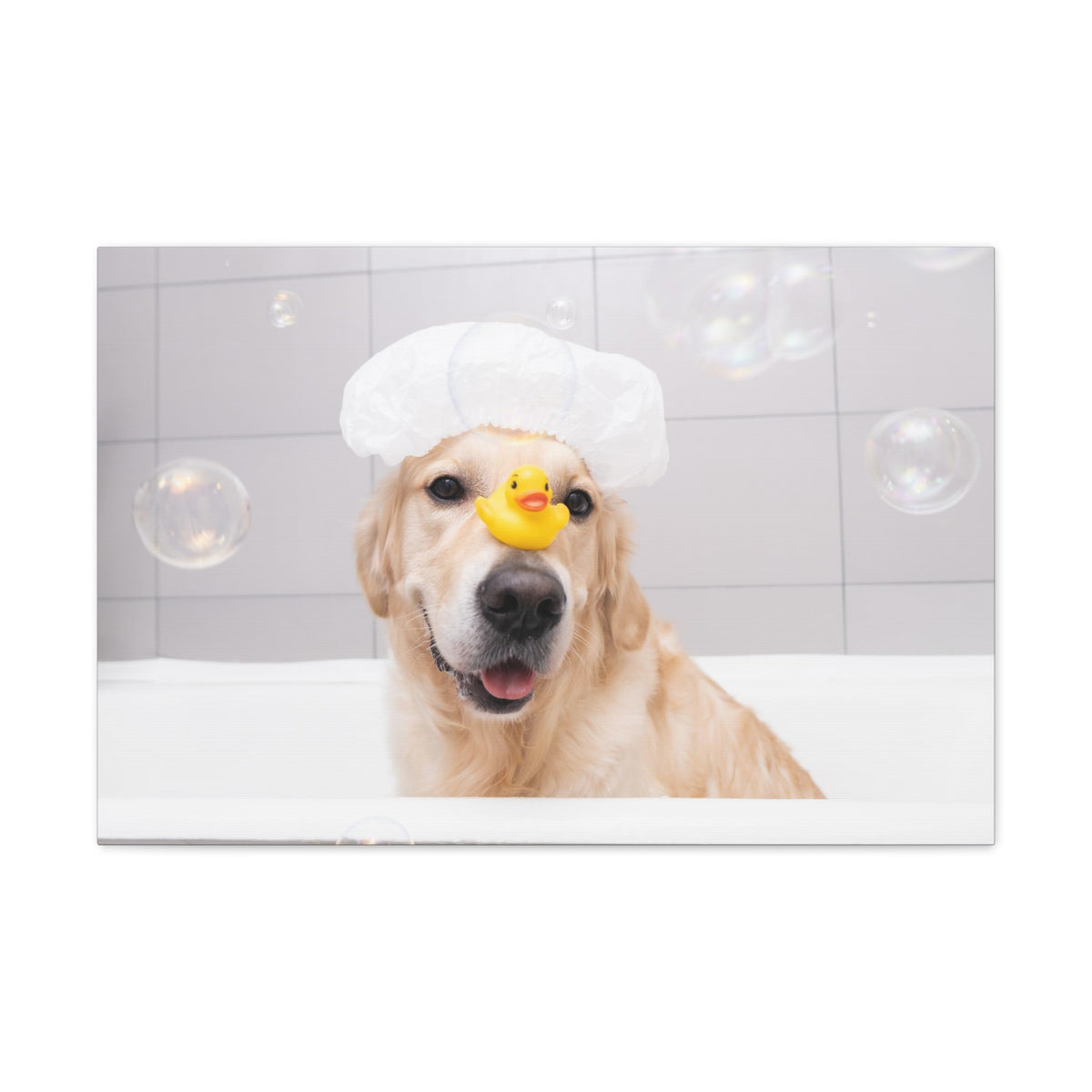 Cute Golden Retriever Bathee Canvas Wall Art for Home Decor Ready-to-Hang-Express Your Love Gifts