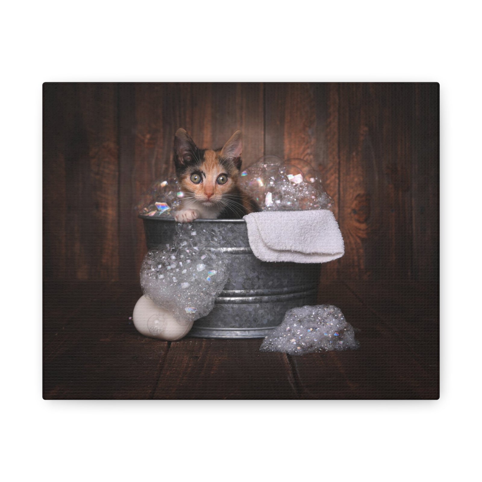 Cute Calico Bathee Canvas Wall Art for Home Decor Ready-to-Hang-Express Your Love Gifts