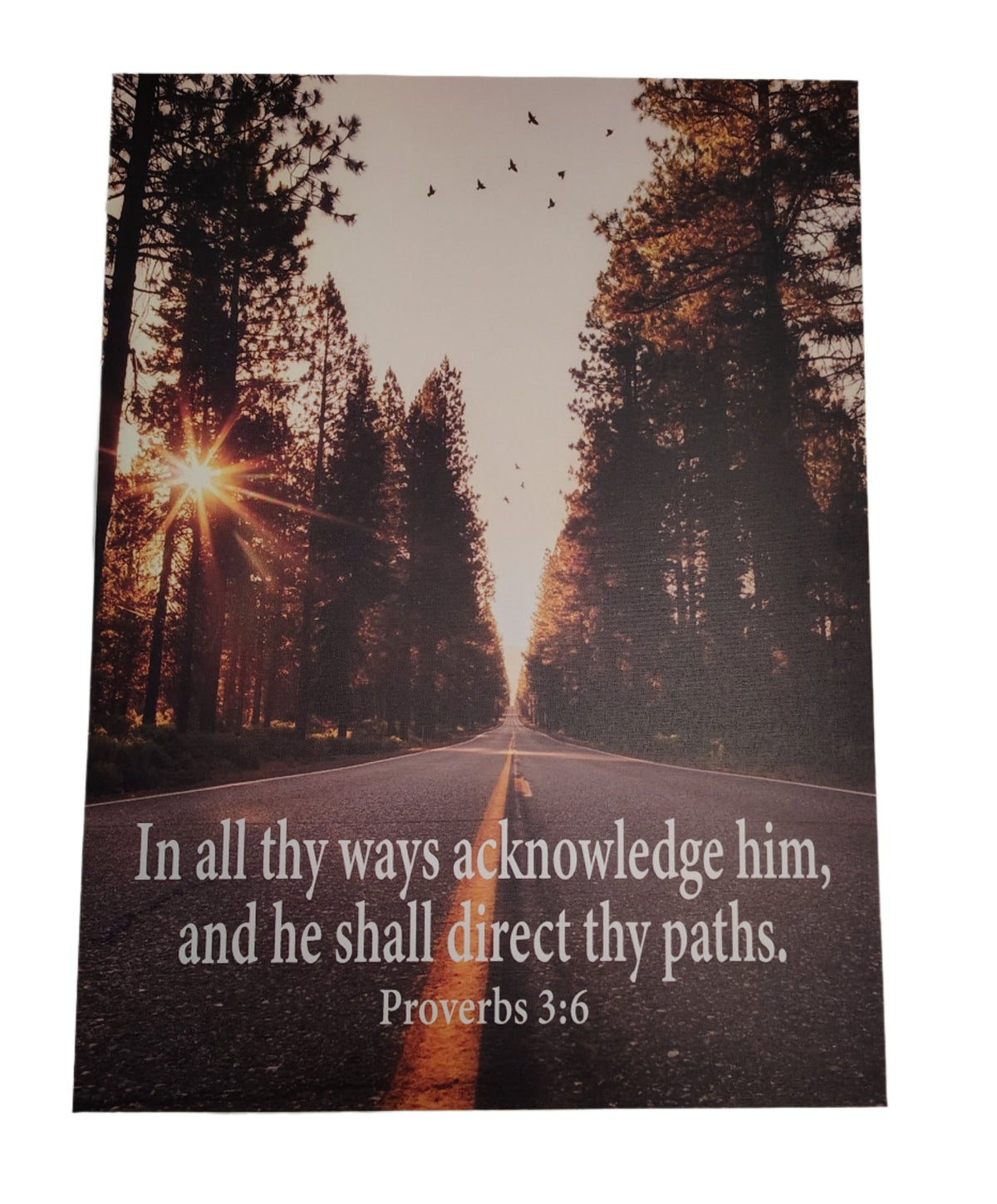 Scripture Walls Acknowledge Him Proverbs 3:6 Christian Home Decor Ready to Hang Bible Art work Unframed-Express Your Love Gifts