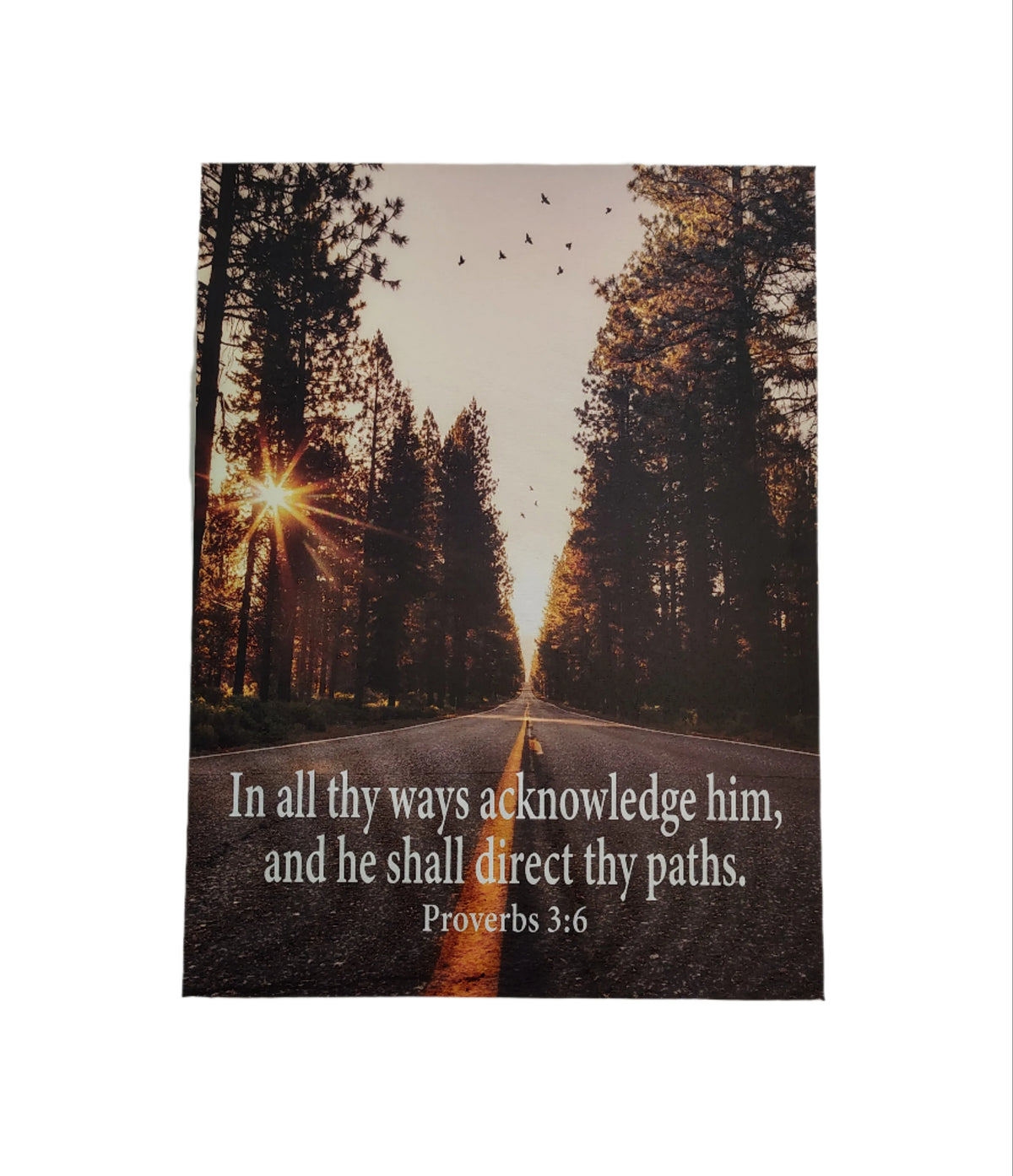 Scripture Walls Acknowledge Him Proverbs 3:6 Christian Home Decor Ready to Hang Bible Art work Unframed-Express Your Love Gifts