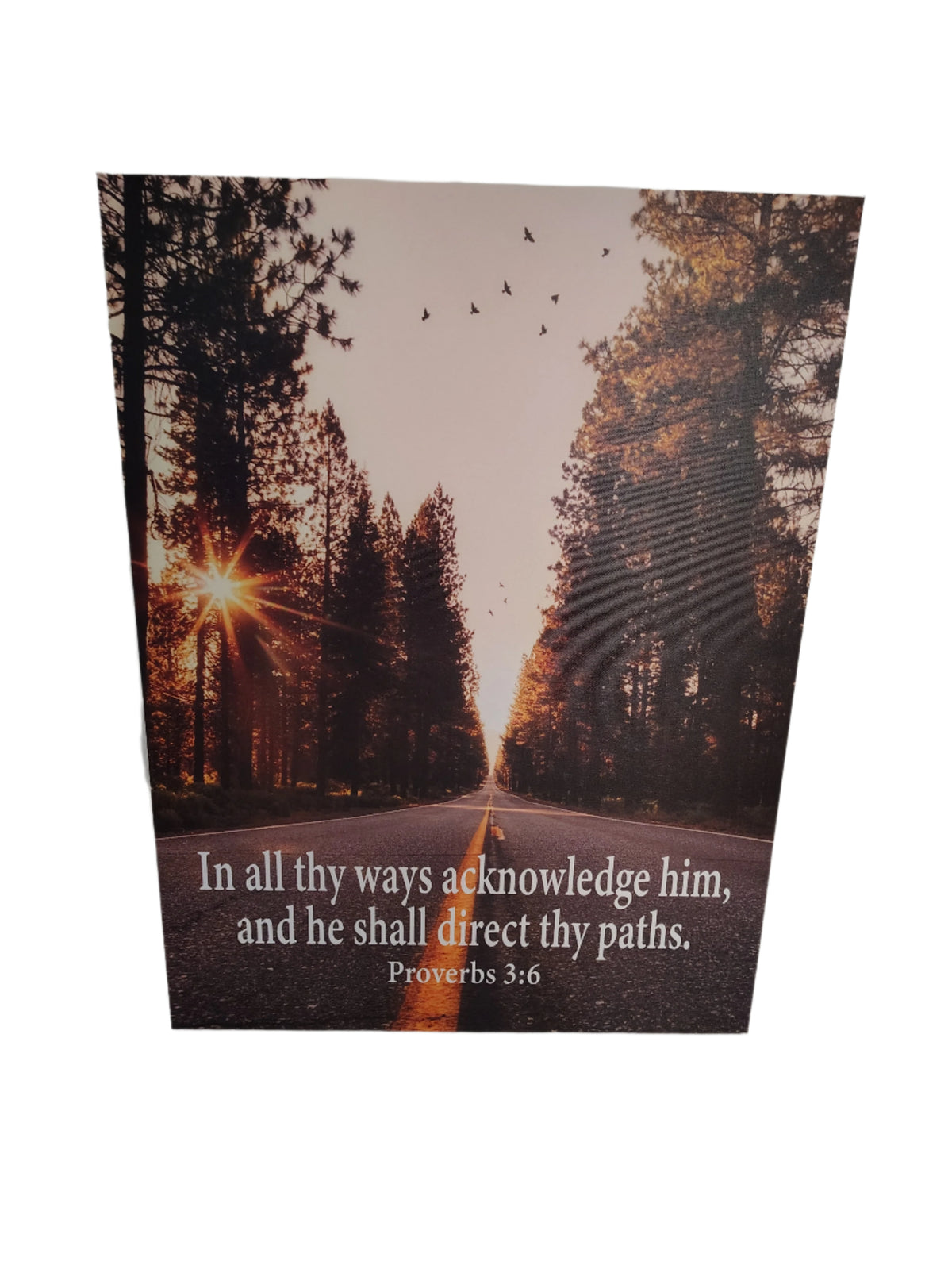 Scripture Walls Acknowledge Him Proverbs 3:6 Christian Home Decor Ready to Hang Bible Art work Unframed-Express Your Love Gifts