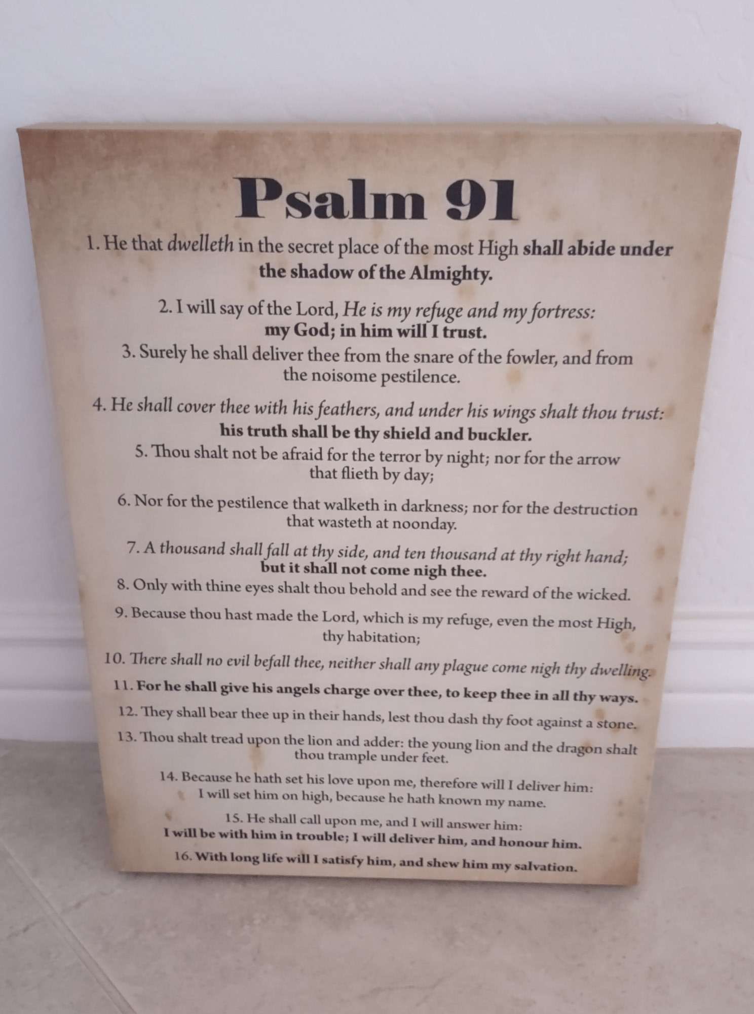 Scripture Walls Psalm 91 Safe In God's Hands Bible Chapter Canvas Christian Wall Art Ready to Hang Unframed-Express Your Love Gifts