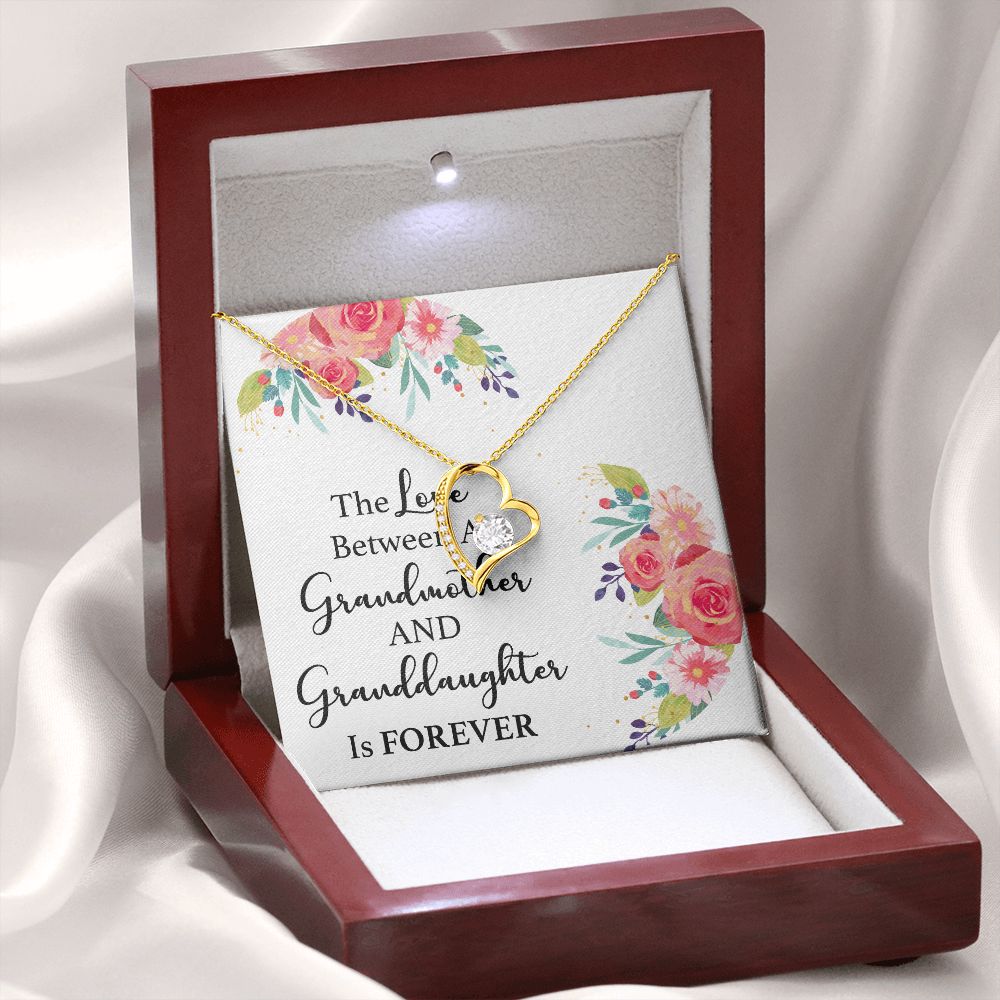 The Love Between a Grandmother and Granddaughter Forever Necklace w Message Card-Express Your Love Gifts