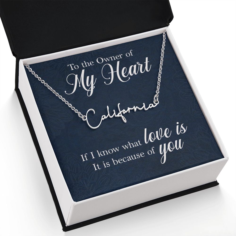 To the Owner of My Heart Signature Name Necklace-Express Your Love Gifts