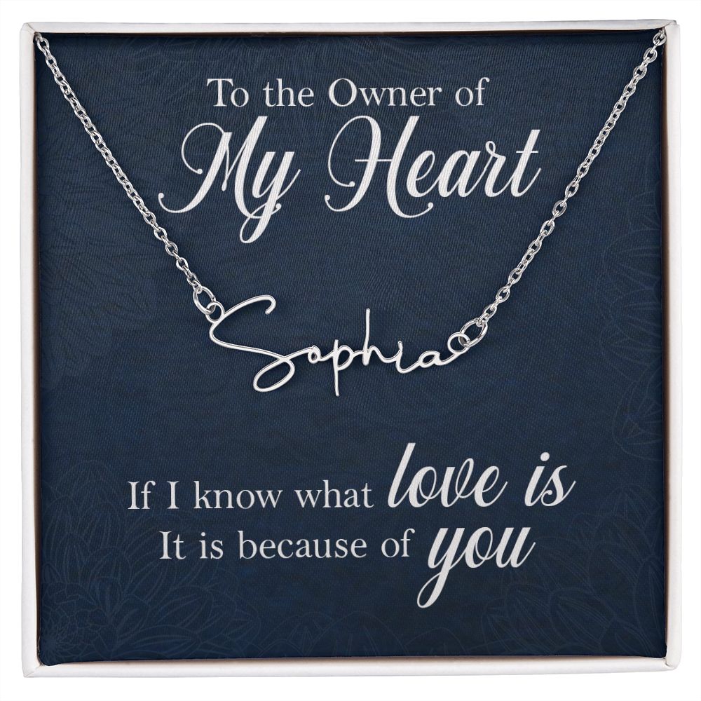 To the Owner of My Heart Signature Name Necklace-Express Your Love Gifts