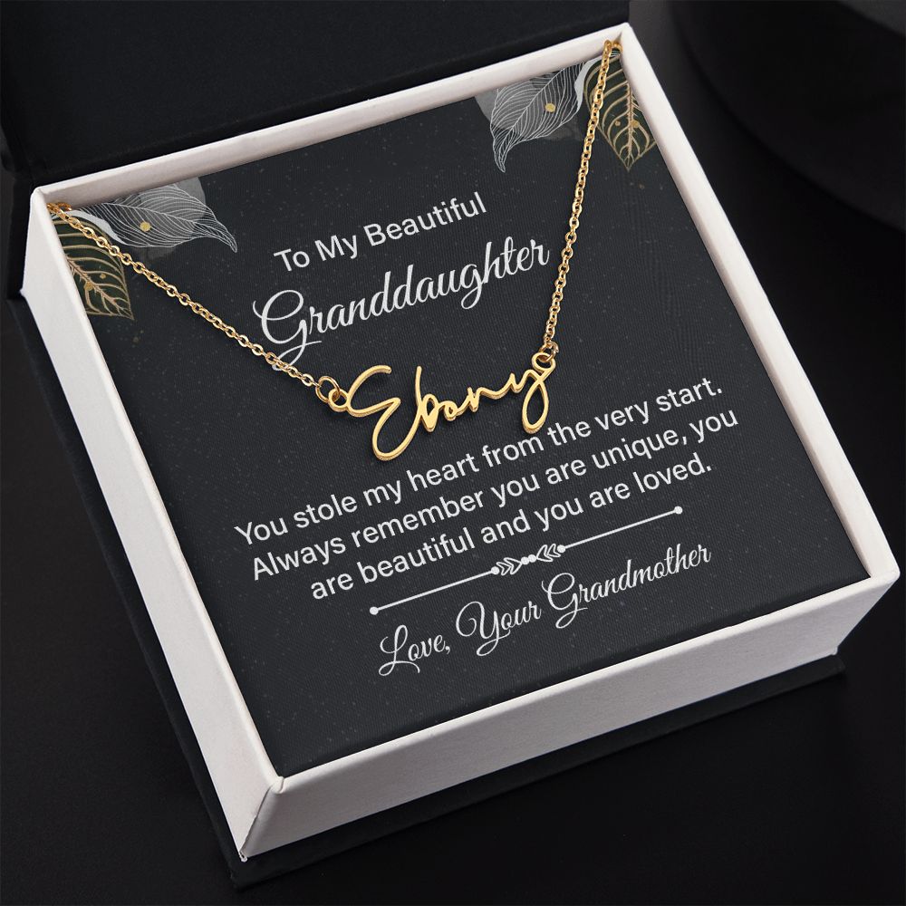 To My Granddaughter You Stole My Heart Signature Name Necklace-Express Your Love Gifts