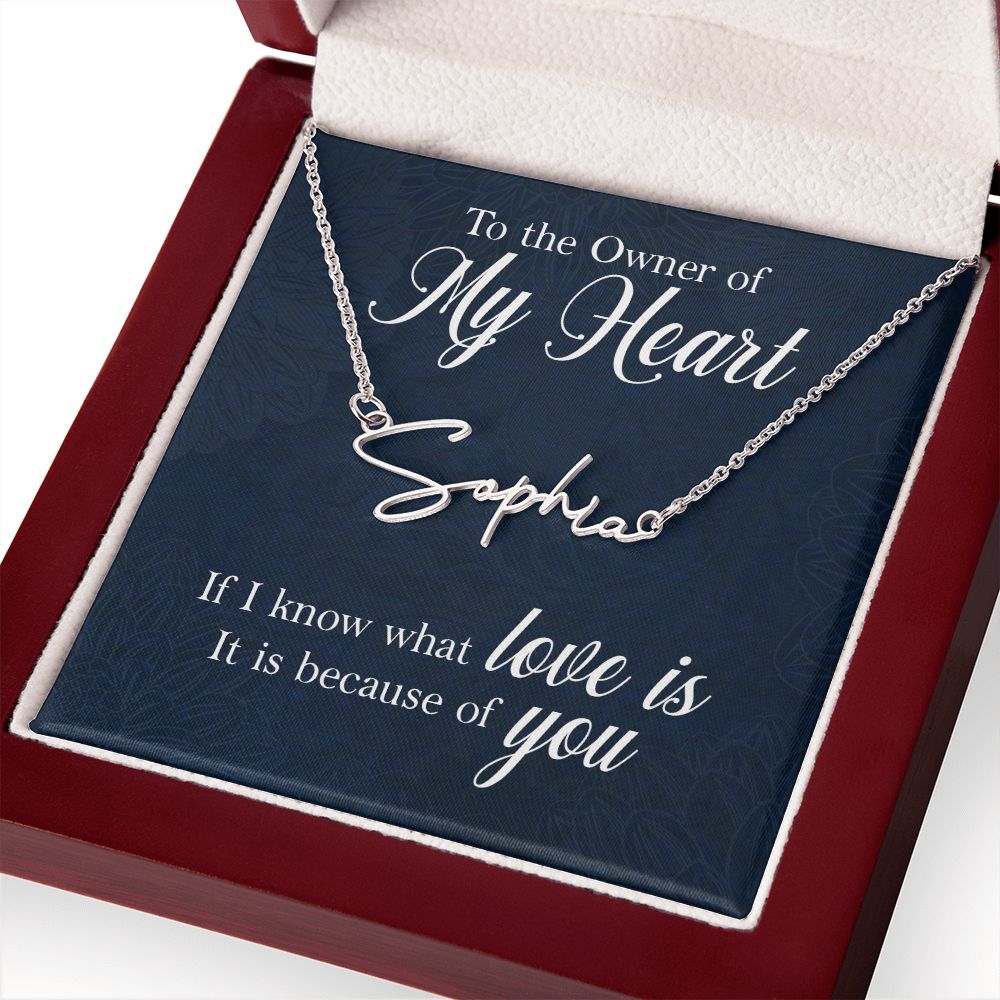 To the Owner of My Heart Signature Name Necklace-Express Your Love Gifts