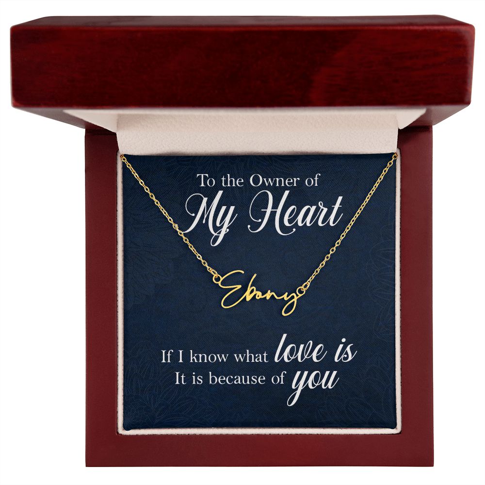 To the Owner of My Heart Signature Name Necklace-Express Your Love Gifts