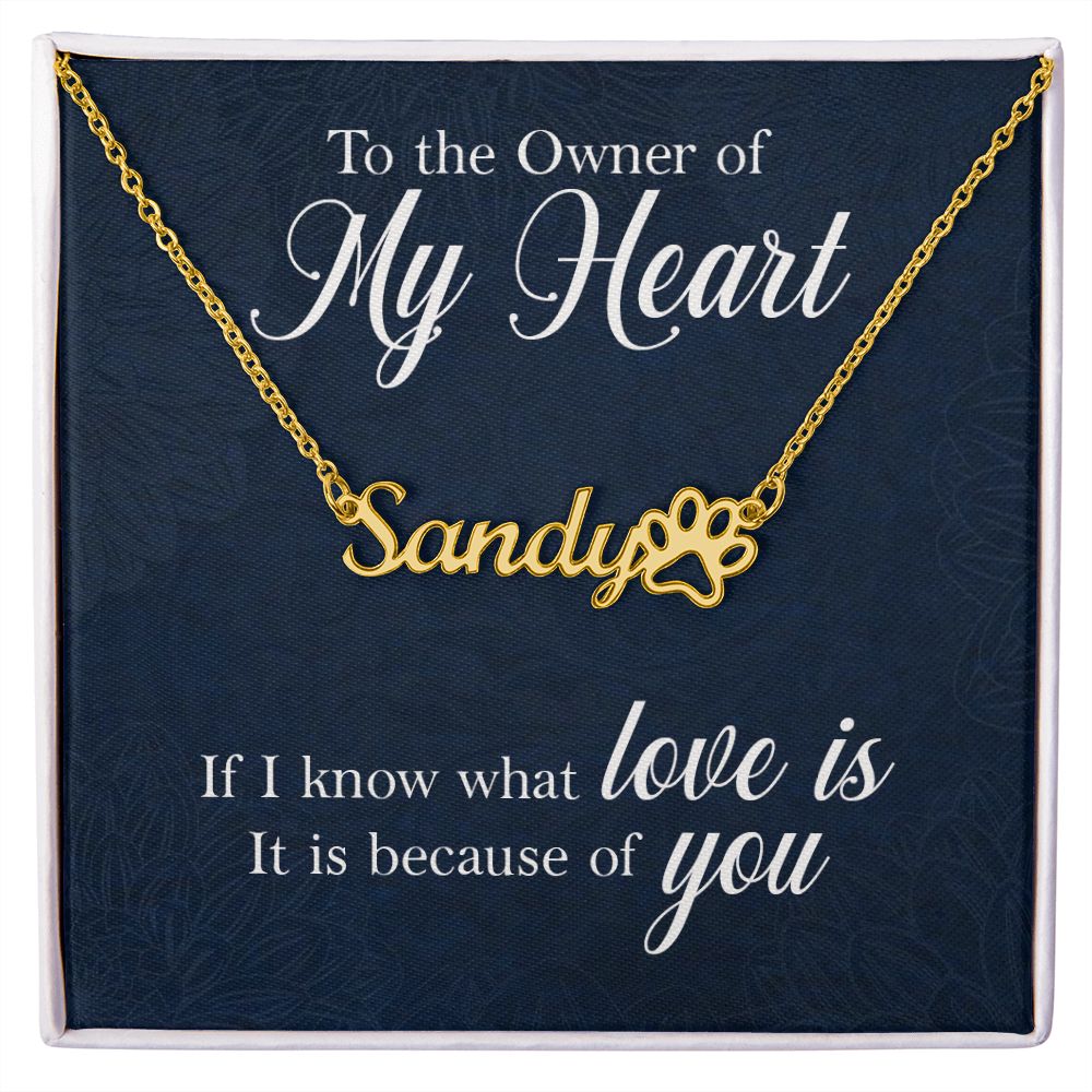 To the Owner of My Heart Name Necklace With Paw Print-Express Your Love Gifts