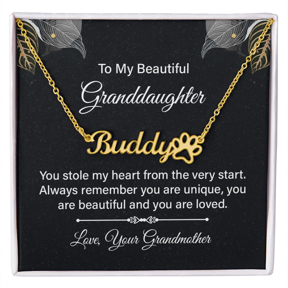 To My Granddaughter You Stole My Heart Name Necklace With Paw Print-Express Your Love Gifts