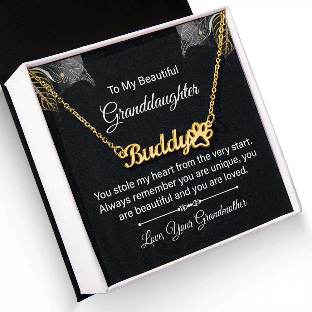 To My Granddaughter You Stole My Heart Name Necklace With Paw Print-Express Your Love Gifts