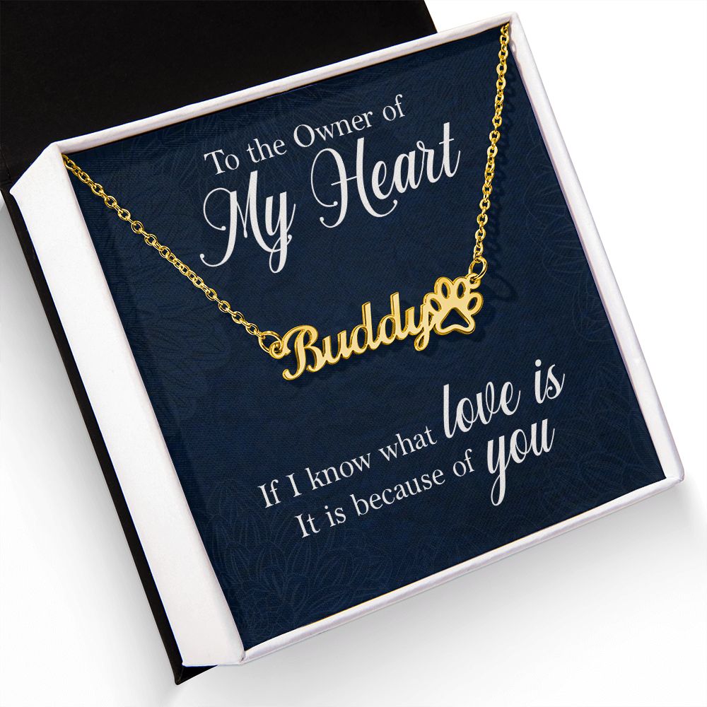 To the Owner of My Heart Name Necklace With Paw Print-Express Your Love Gifts