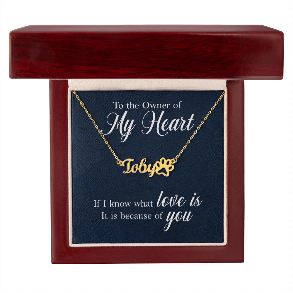 To the Owner of My Heart Name Necklace With Paw Print-Express Your Love Gifts