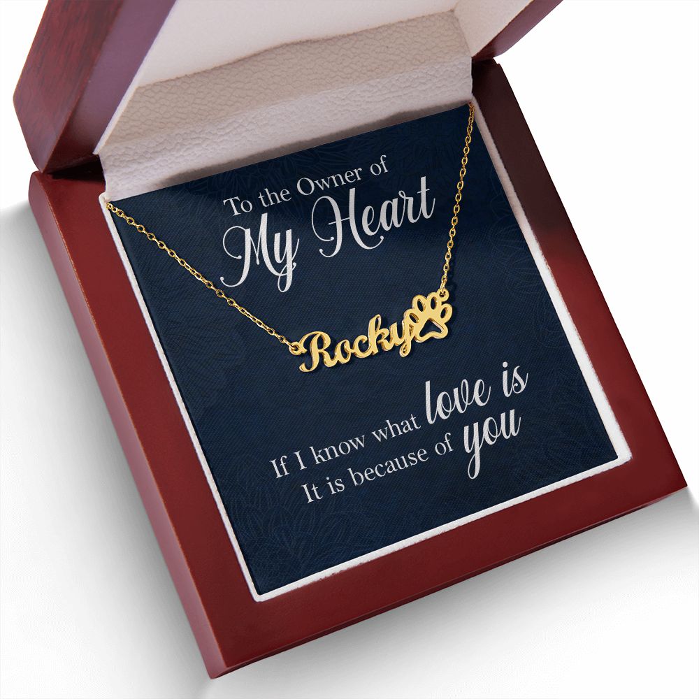 To the Owner of My Heart Name Necklace With Paw Print-Express Your Love Gifts